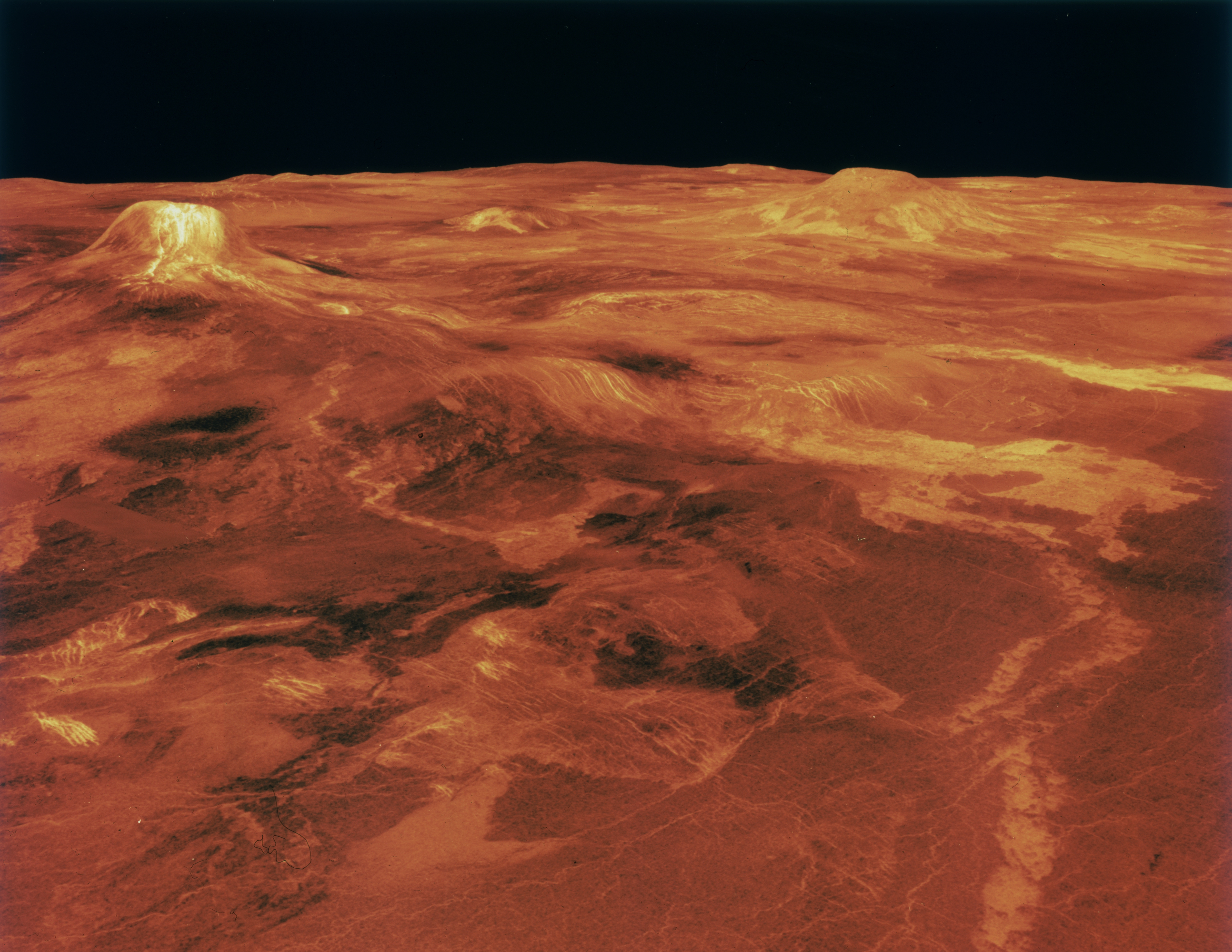 Venus Life