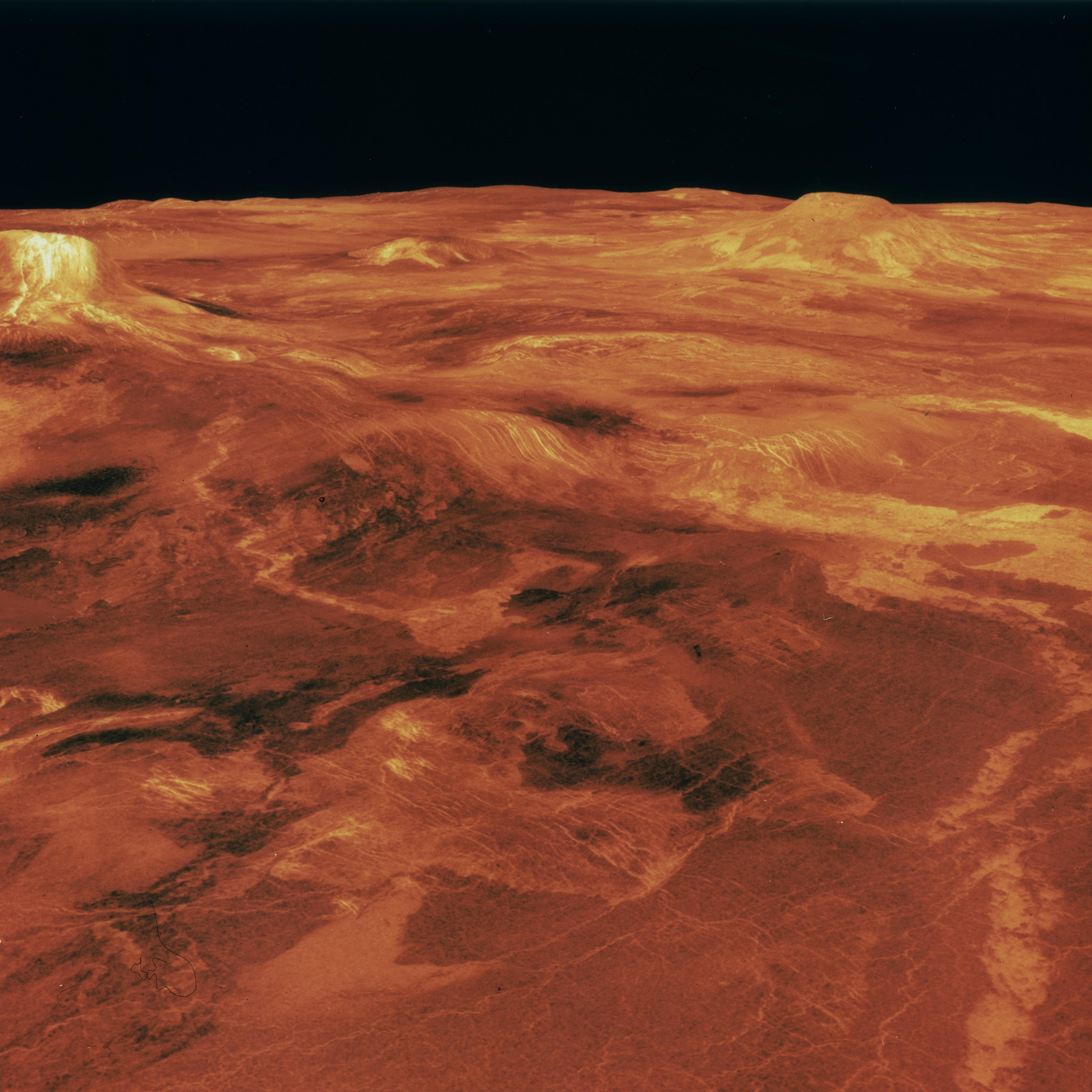 Venus Life