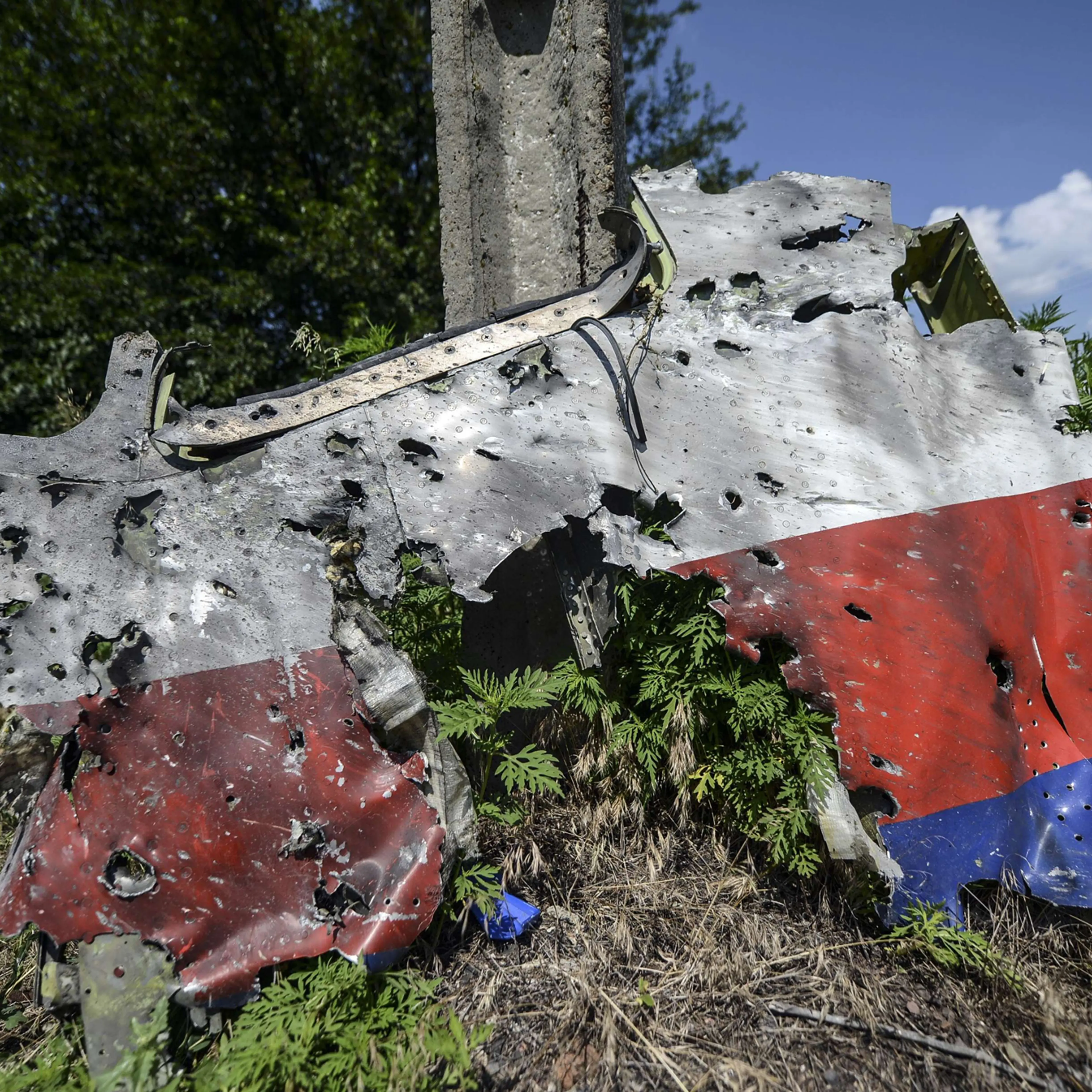 A part of the fuselage of the downed Malaysia Airlines flight MH17 is pictured in a field near the village of Grabove, in the Donetsk region, on July 23, 2014.