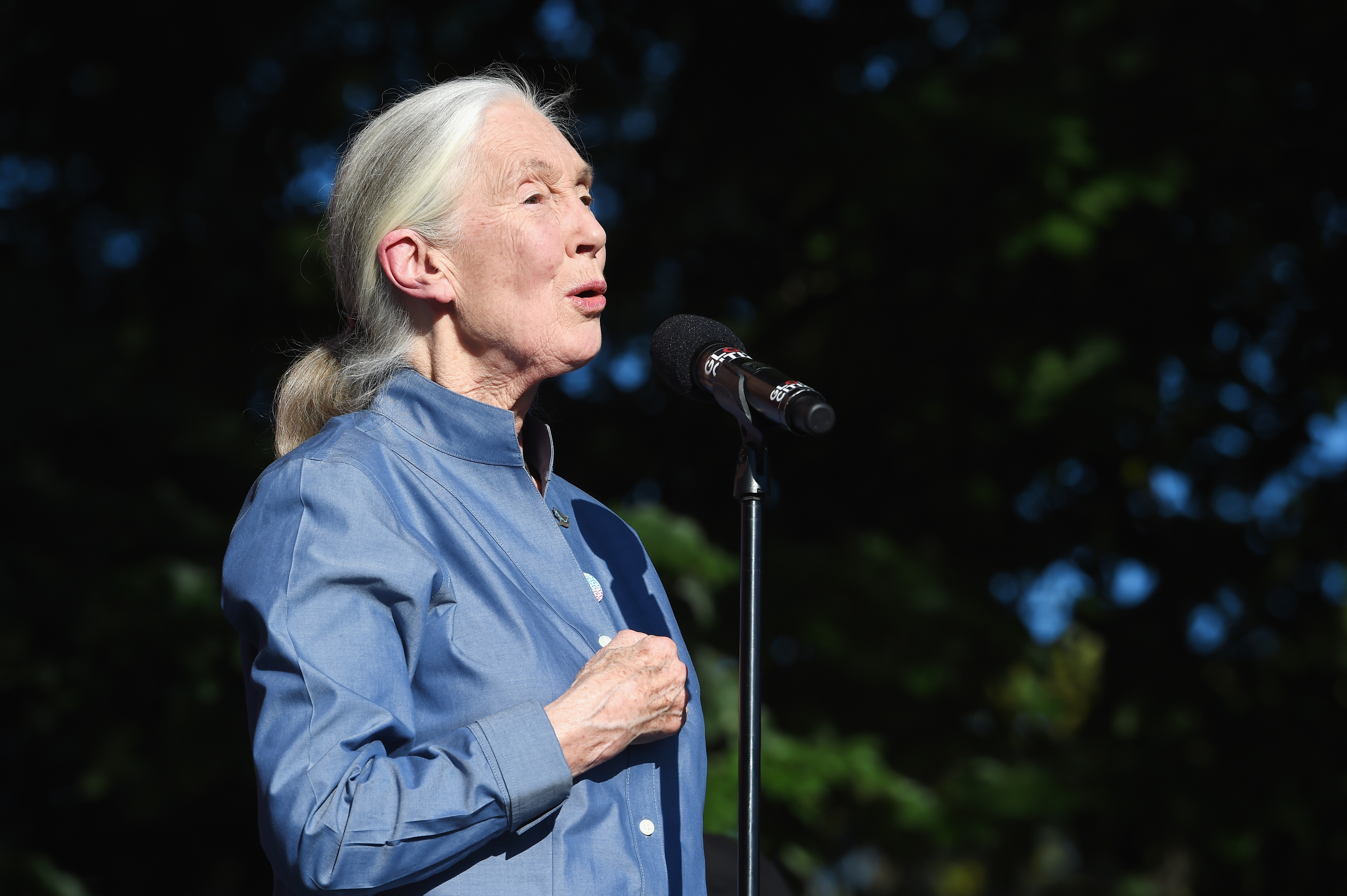 jane goodall climate change