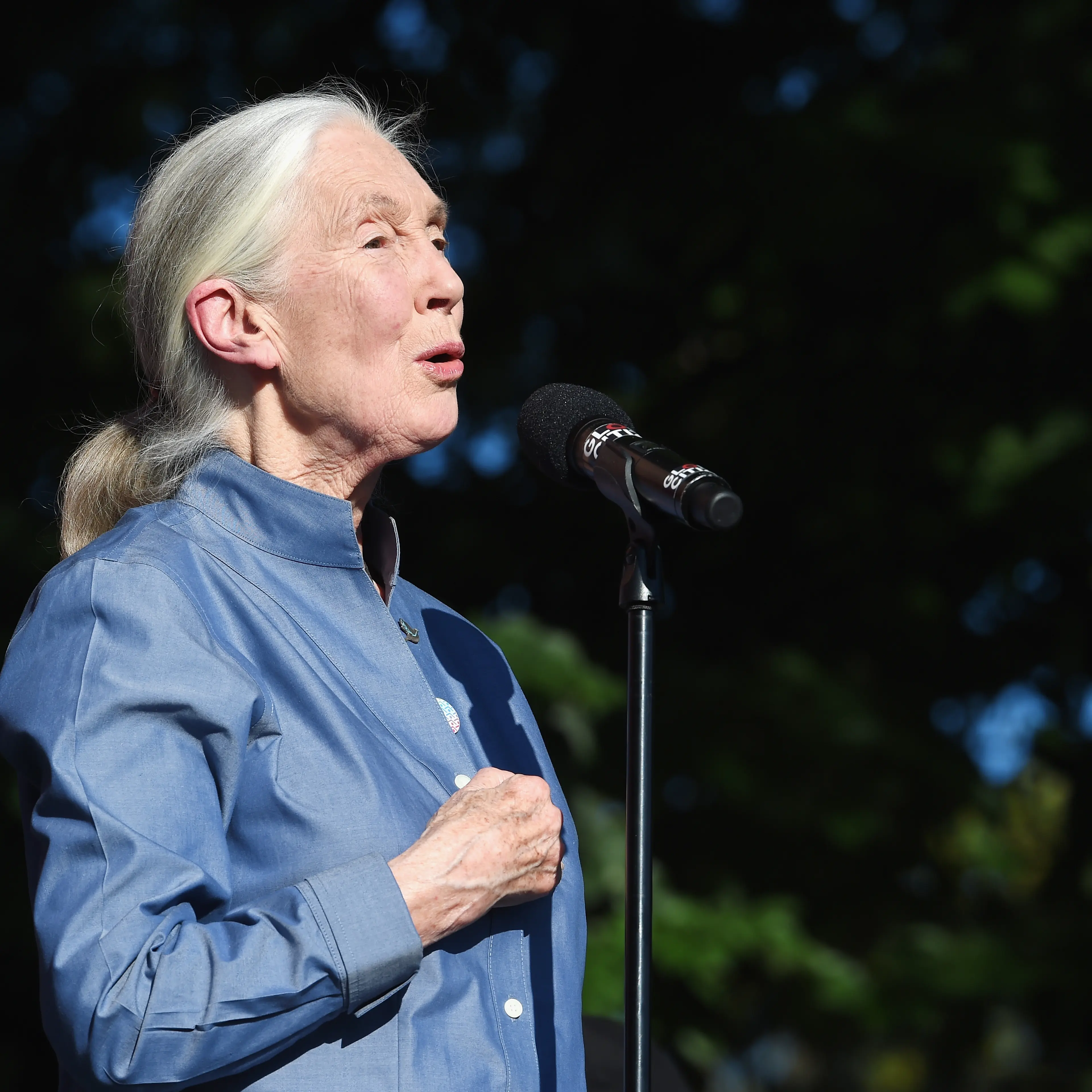 jane goodall climate change