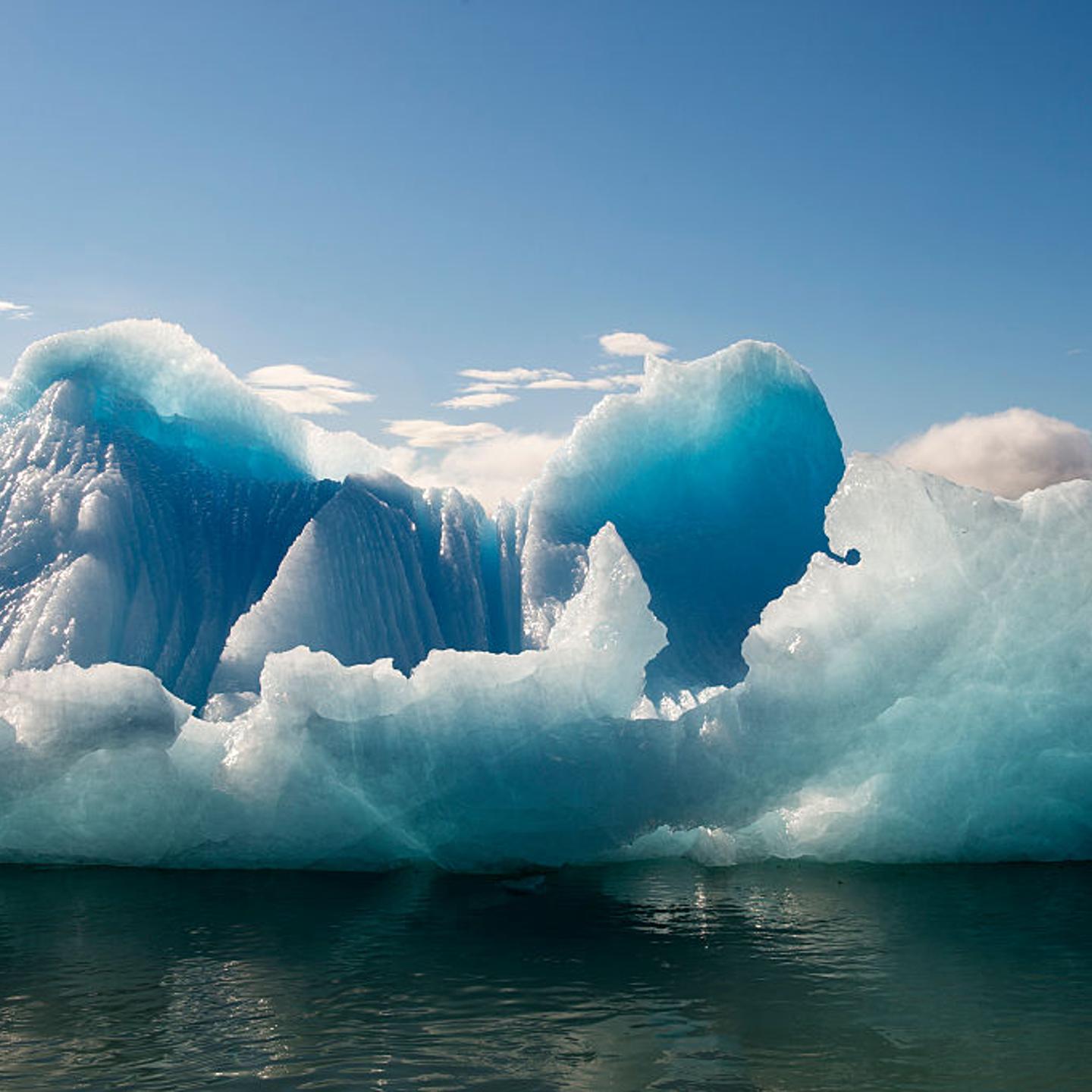Iceberg from LeConte Glacier (named in honor of the