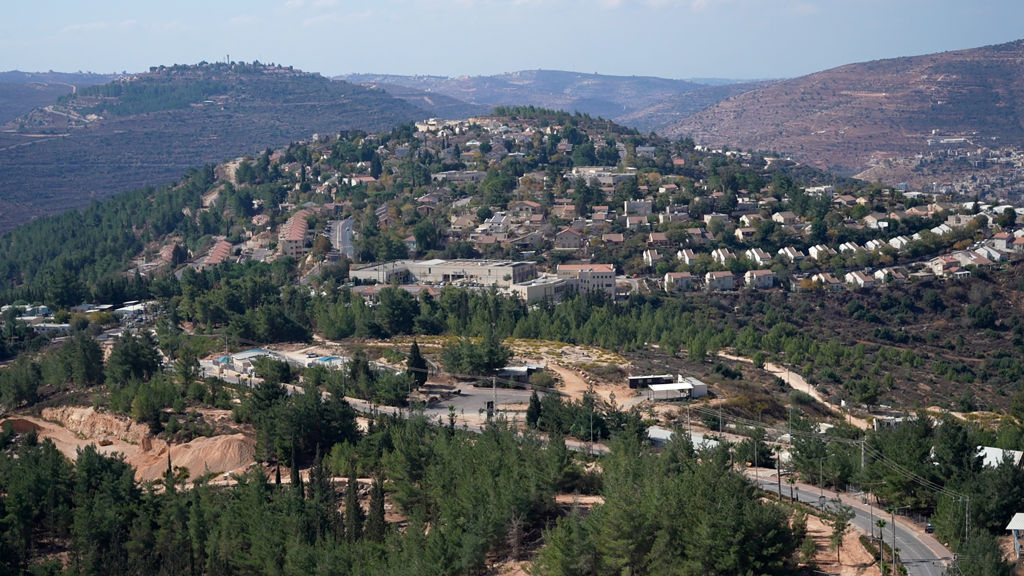 PALESTINIAN-ISRAEL-CONFLICT-US-ELECTION