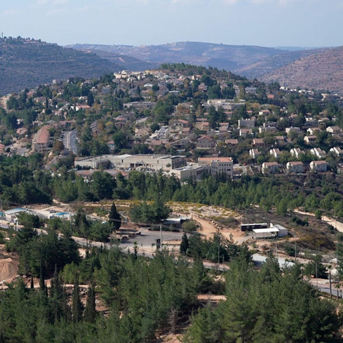 PALESTINIAN-ISRAEL-CONFLICT-US-ELECTION