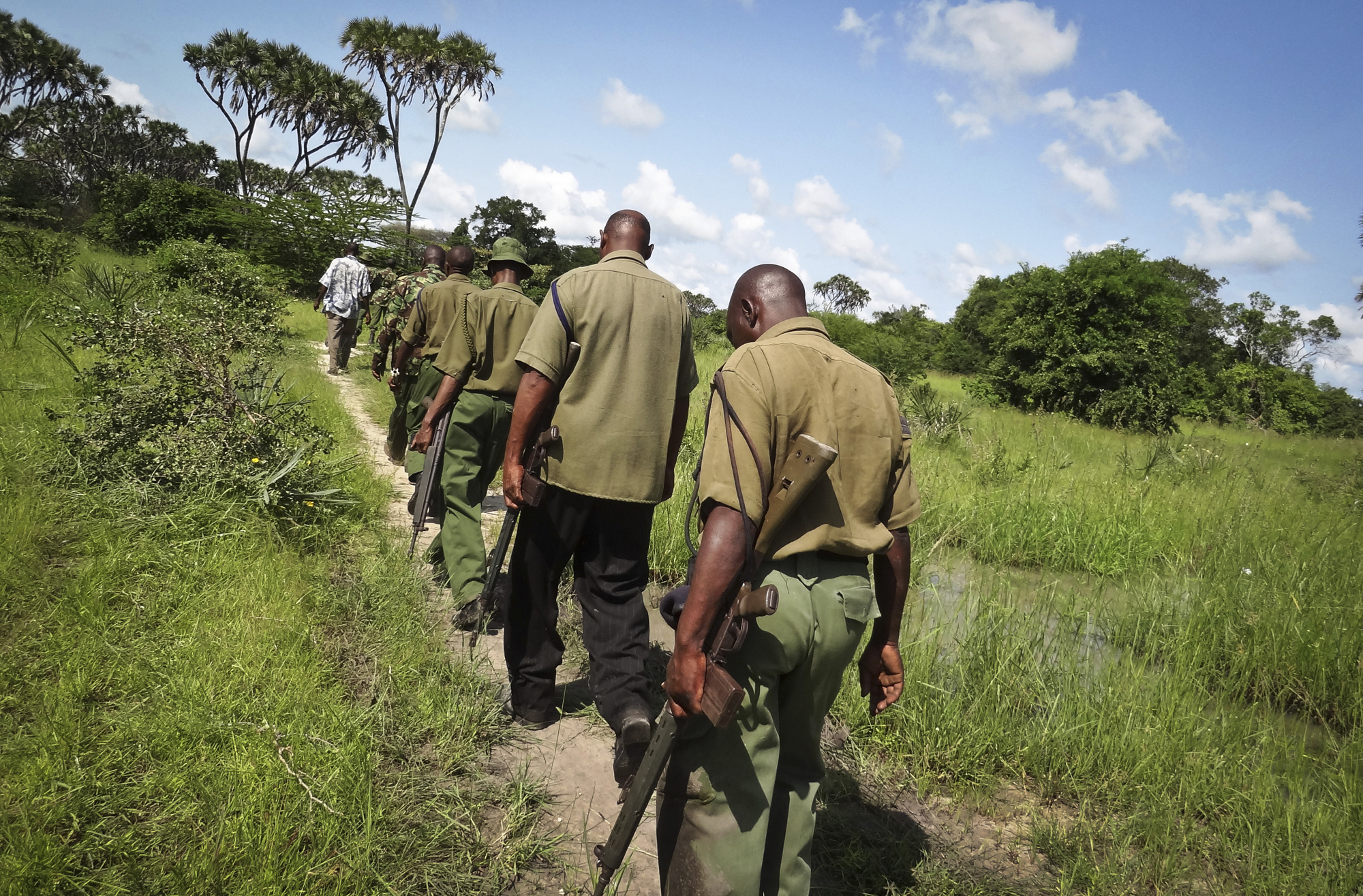Armed members of the Kenyan security forces march in single file along narrow paths leading through the dense swamp and forest, searching for the attackers, in the remote village of Kaisari, near Mpeketoni, about 60 miles from the Somali border on the co