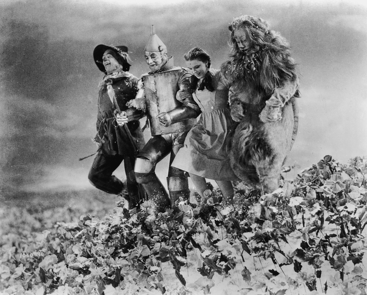 Poppy Field, 'Wizard Of Oz'