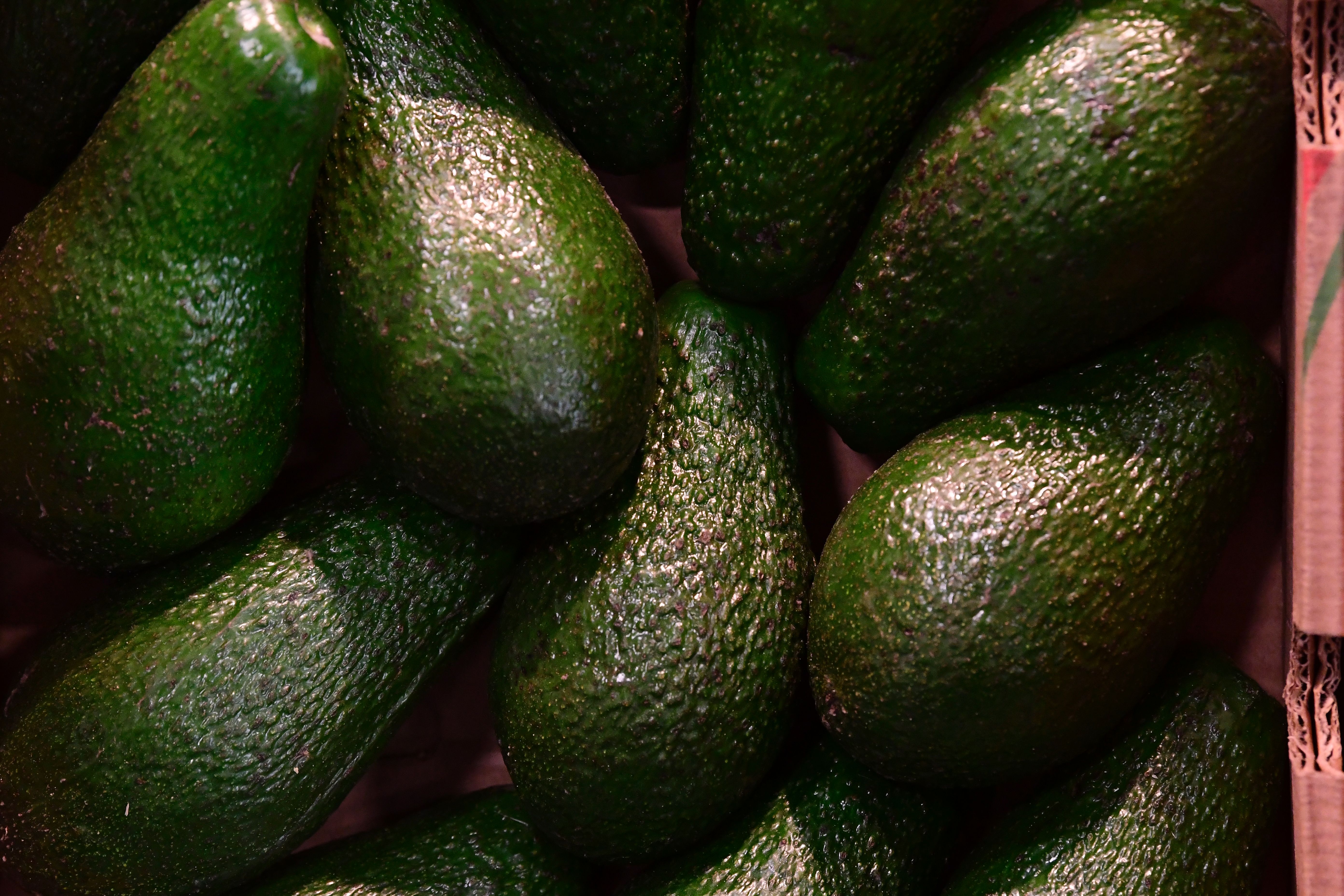 GERMANY-FOOD-FAIR-FRUIT-LOGISTICA