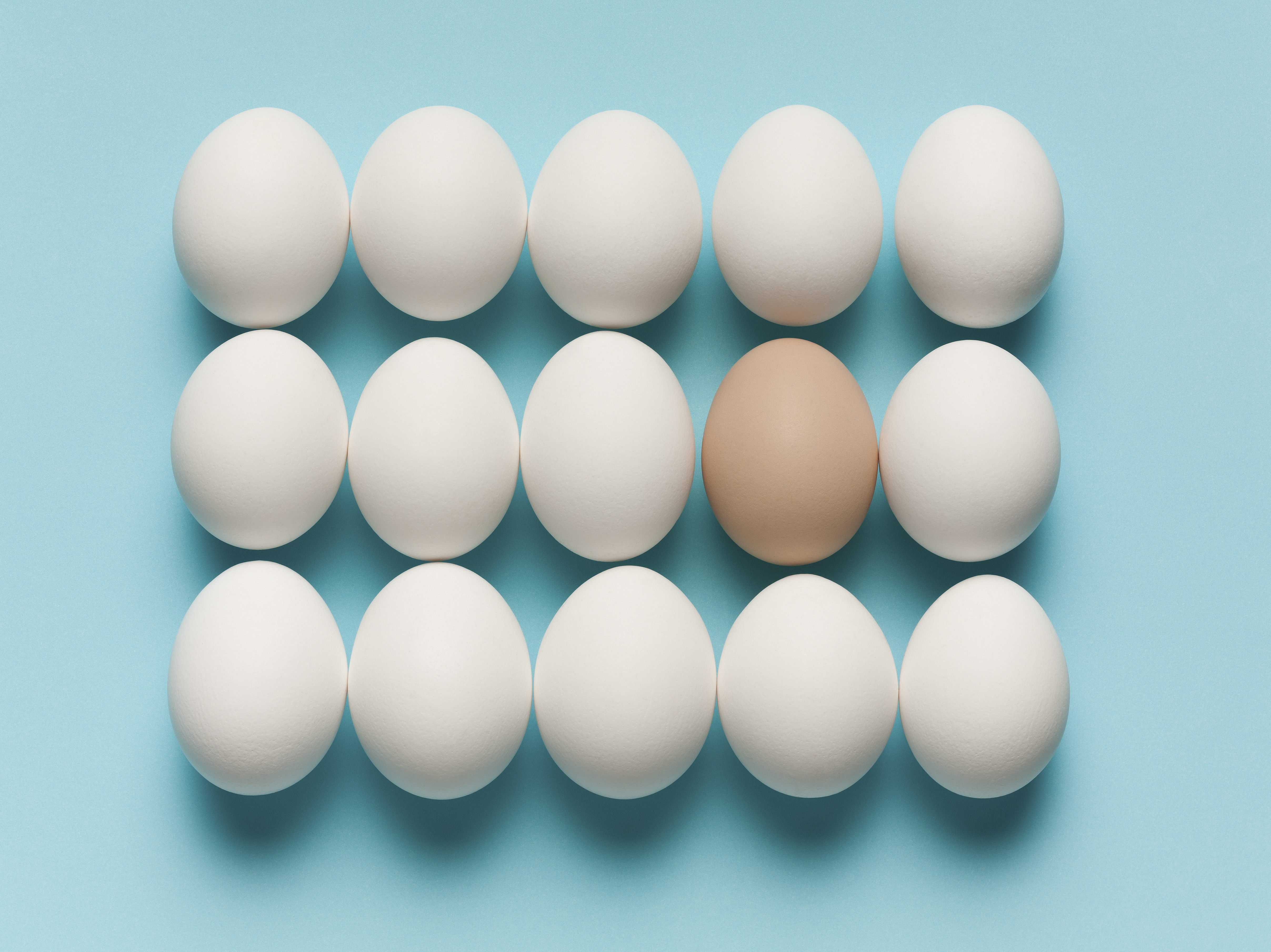 eggs