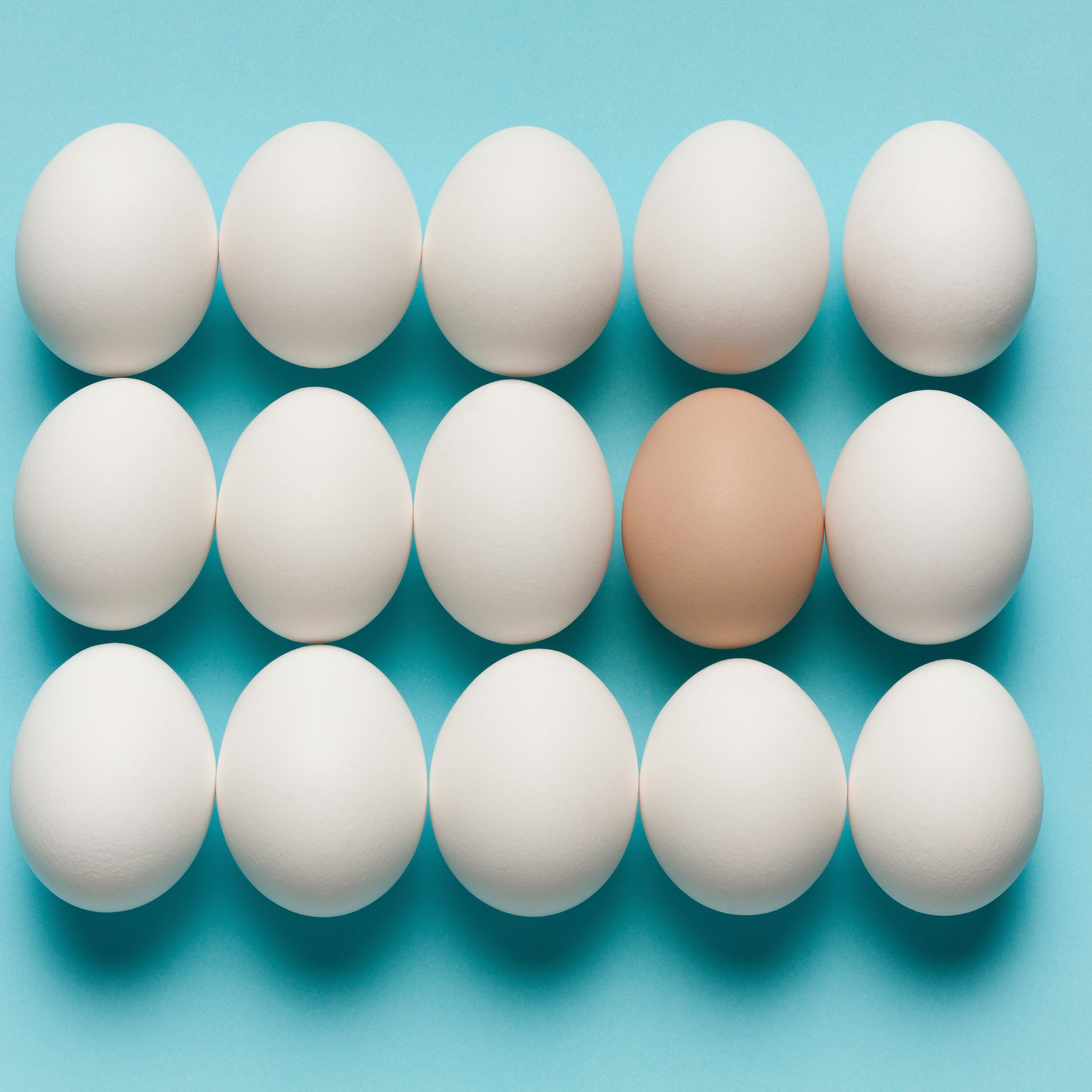 eggs