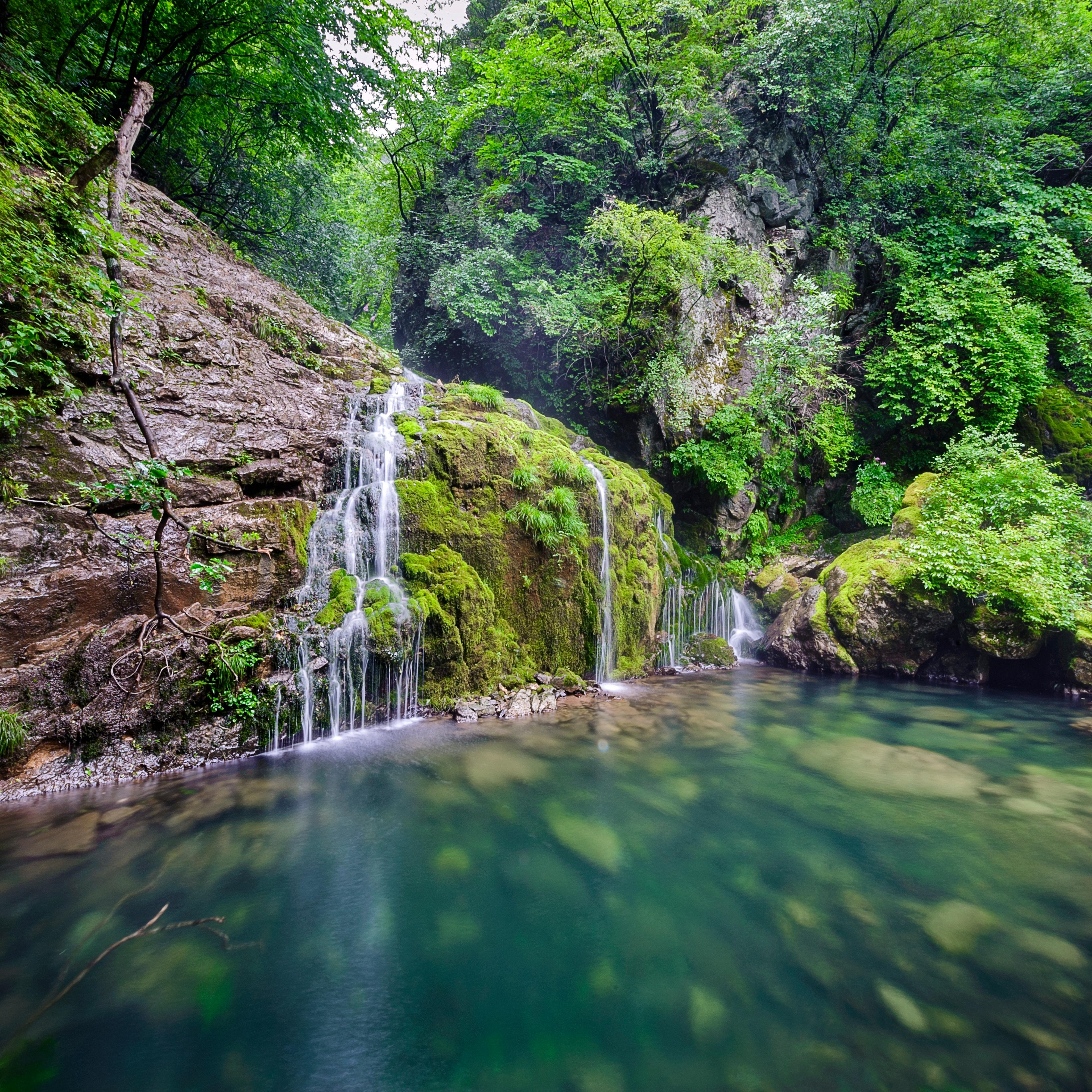 Moss waterfalls
