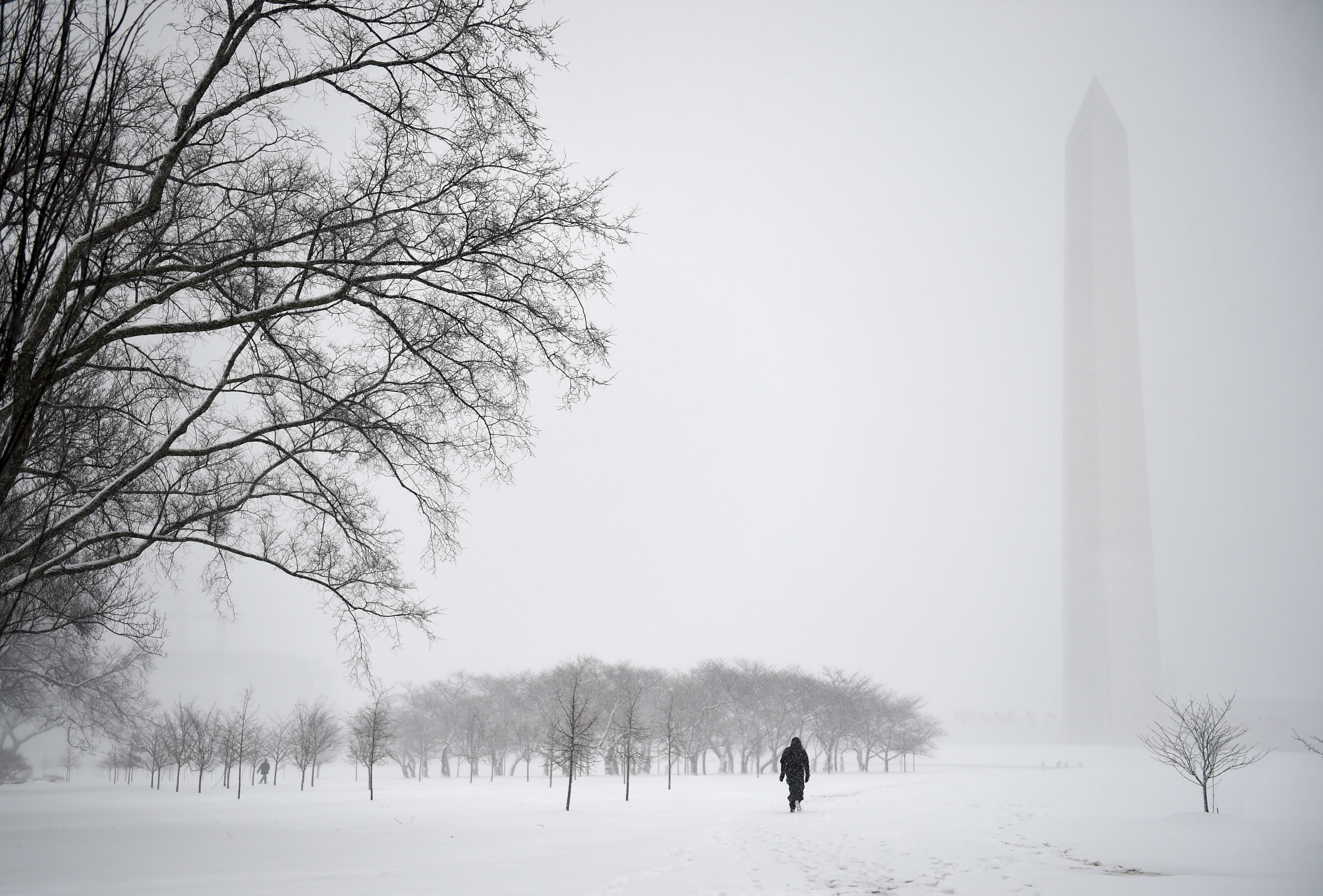WASHINGTON, DC - MARCH 5: Not many visitors brave the snow for