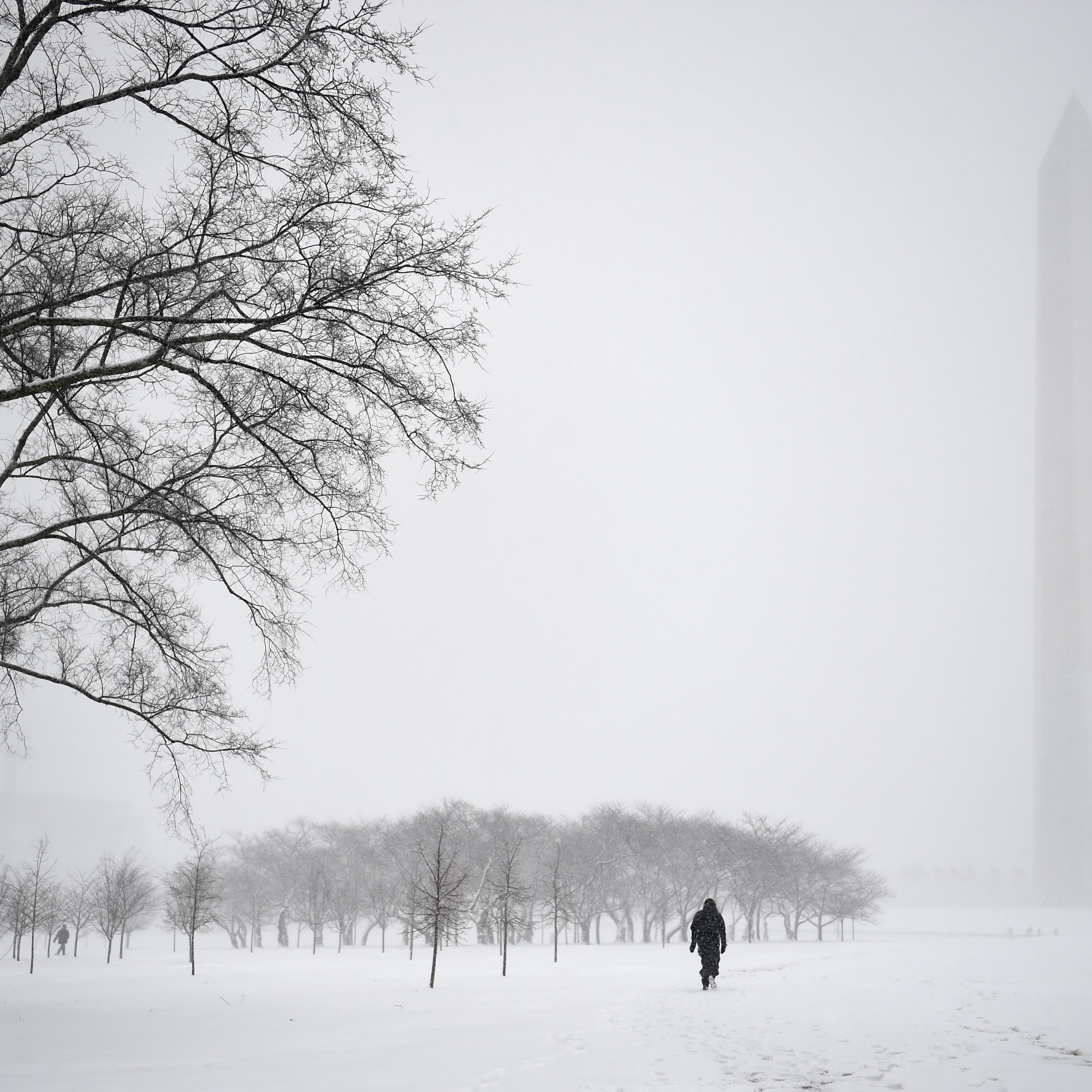 WASHINGTON, DC - MARCH 5: Not many visitors brave the snow for