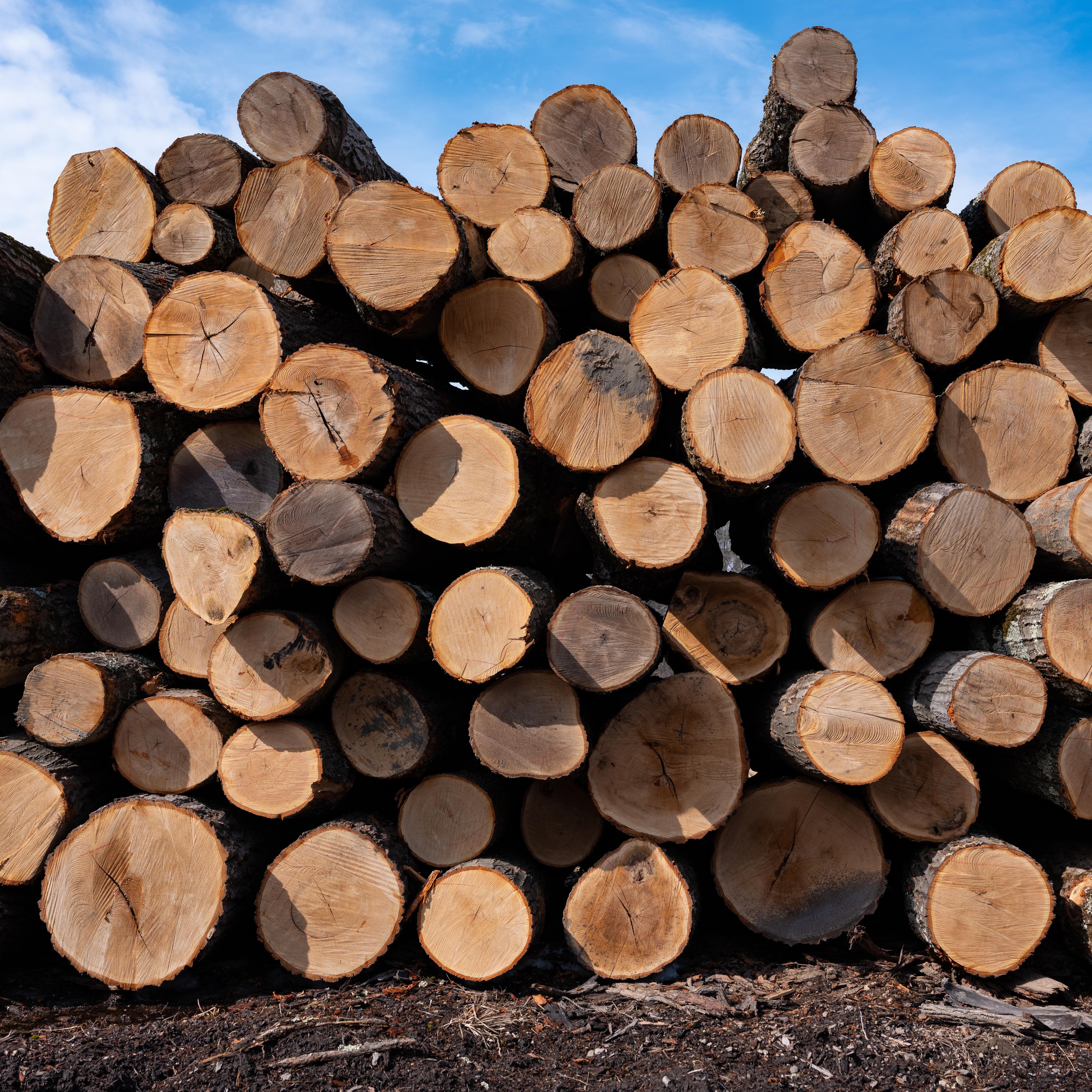 Cooksburg Lumber Company In Preston Hollow, New York