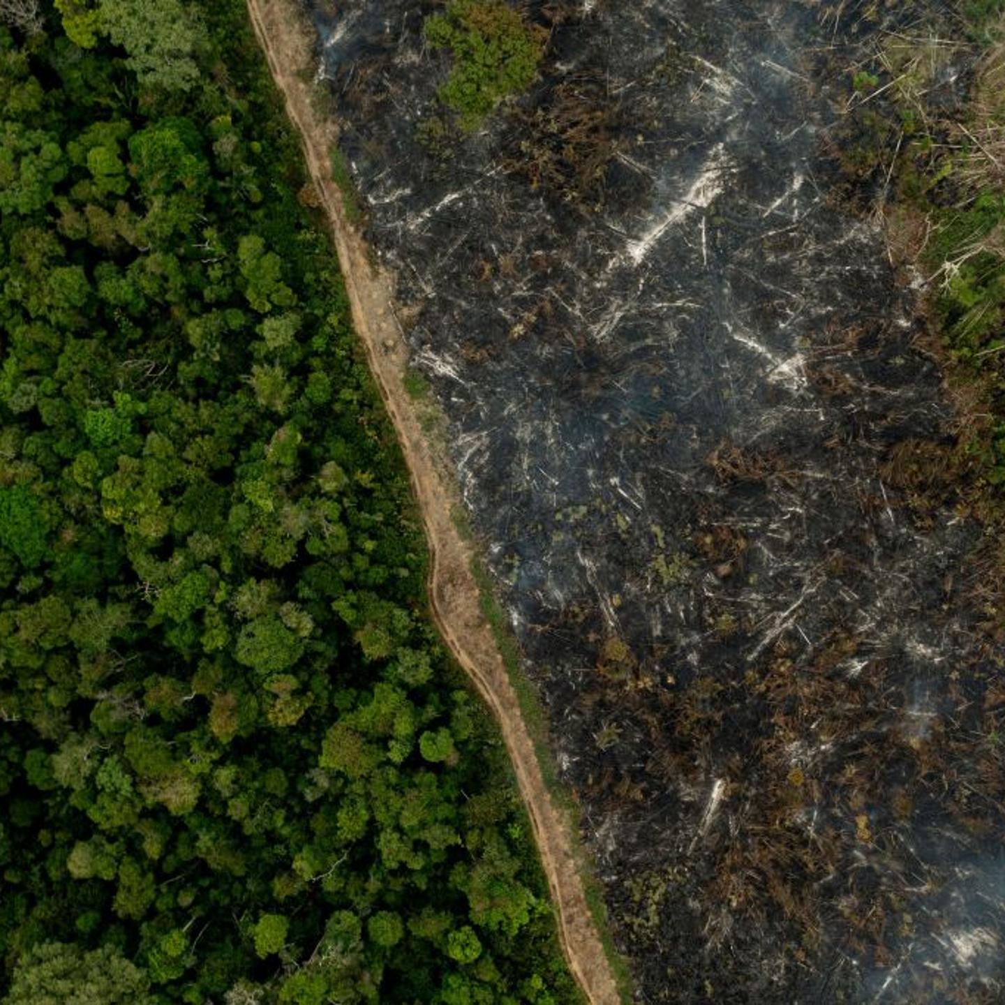 BRAZIL-UN-COP26-CLIMATE-AMAZON