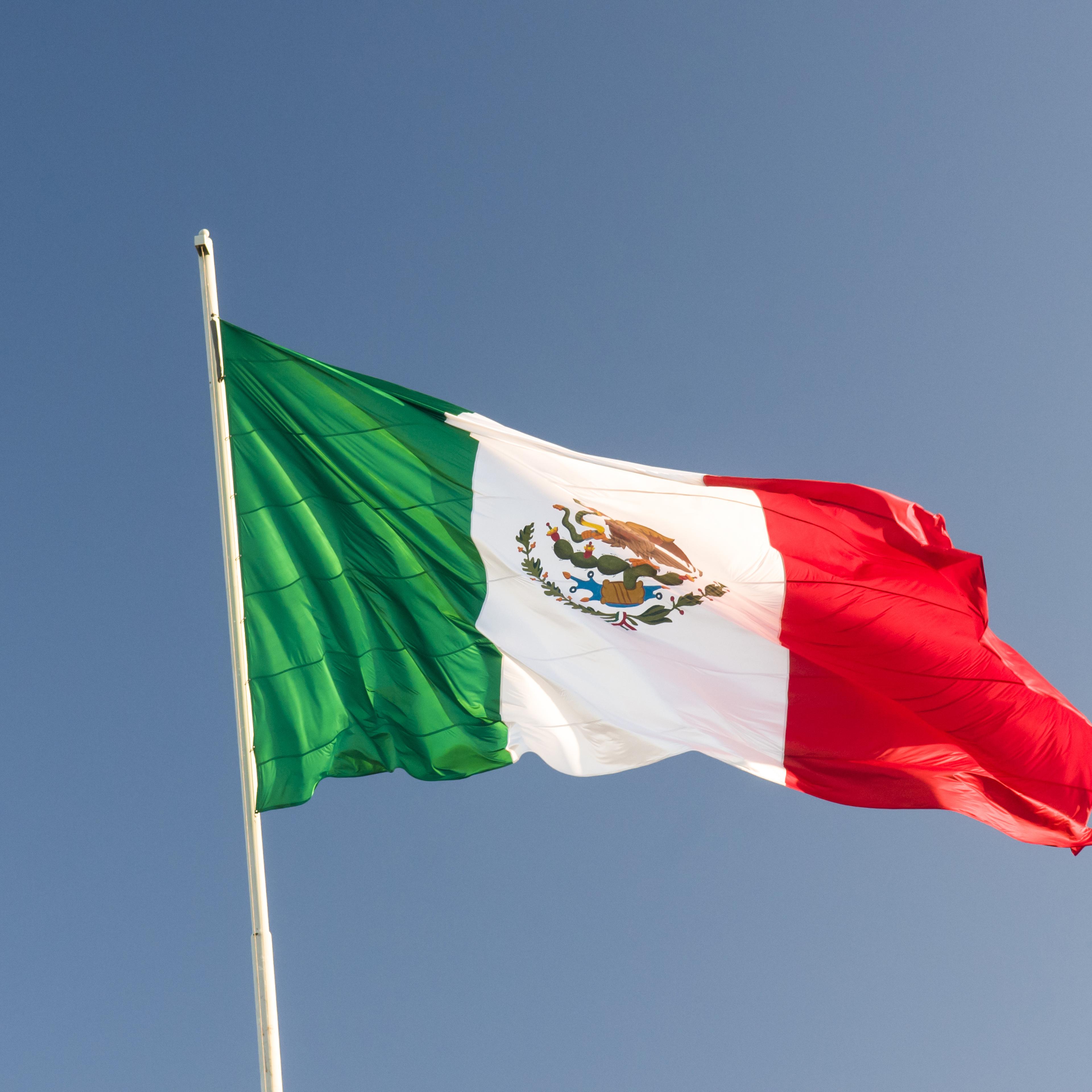 Mexican flag