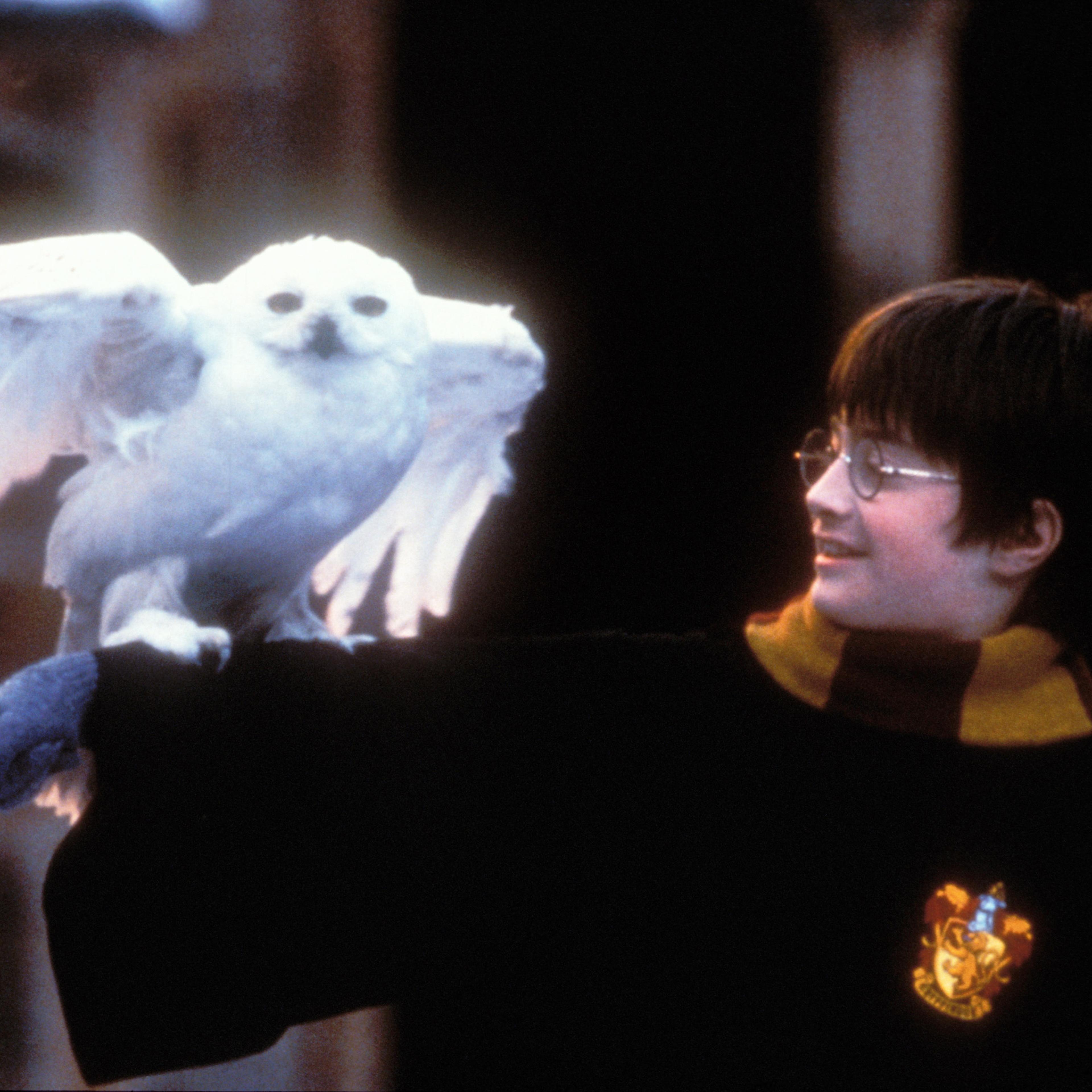 Harry Potter and The Sorcerer's Stone - Movie Stills