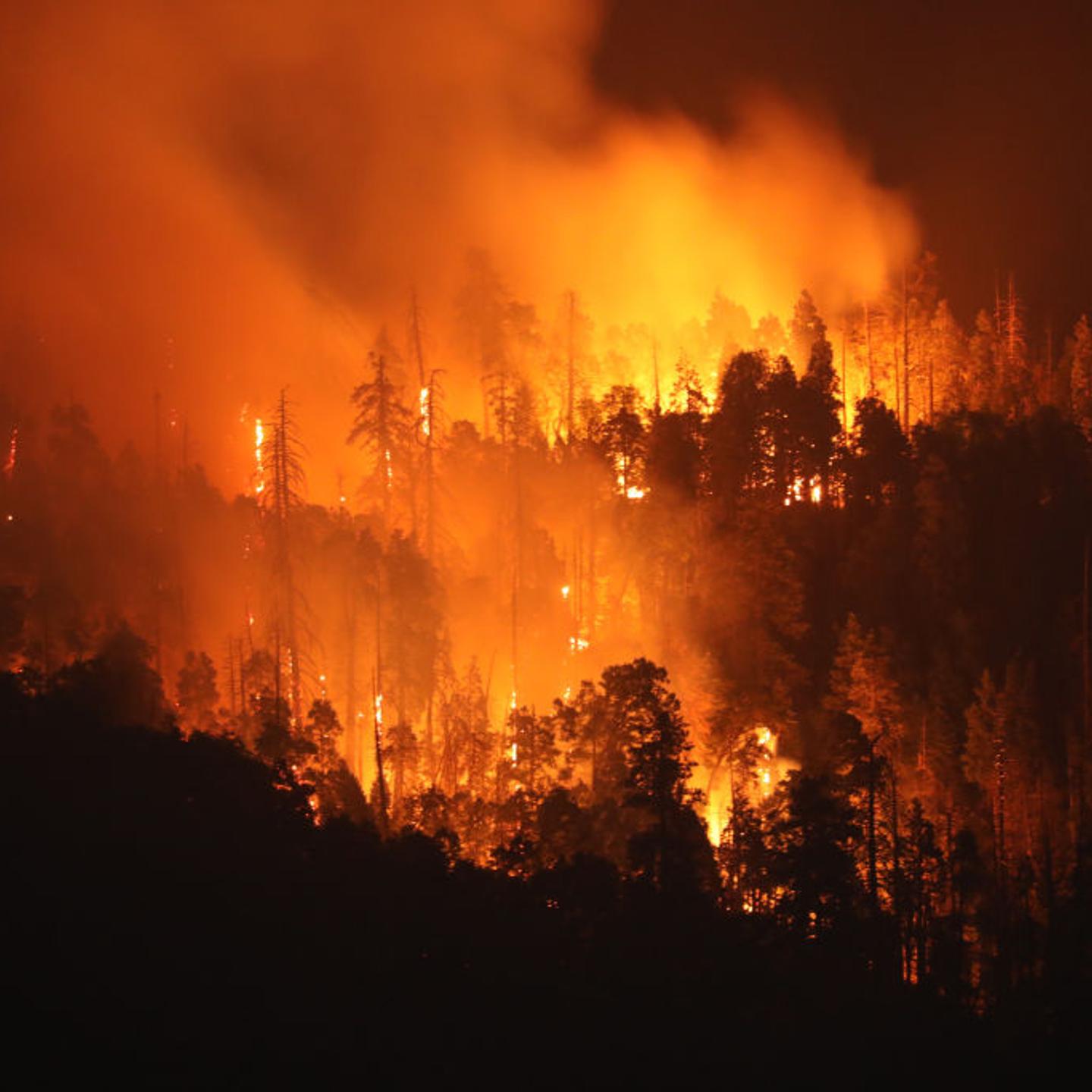 Firefighters Battle California's French Fire