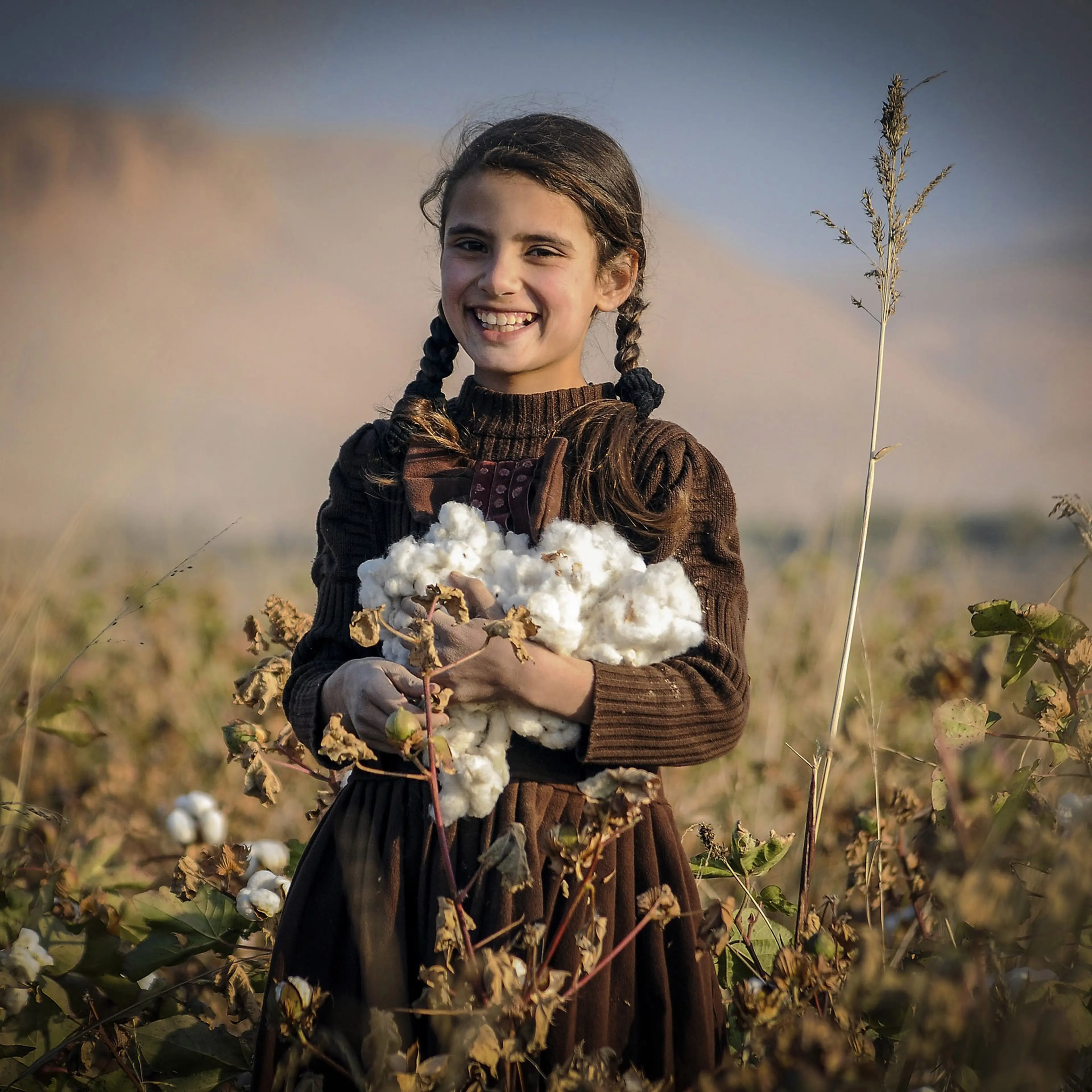 An Afghan girl harvests Cotton buds at a field on the outskirts of Balkh province, Afghanistan on Nov. 15, 2014.