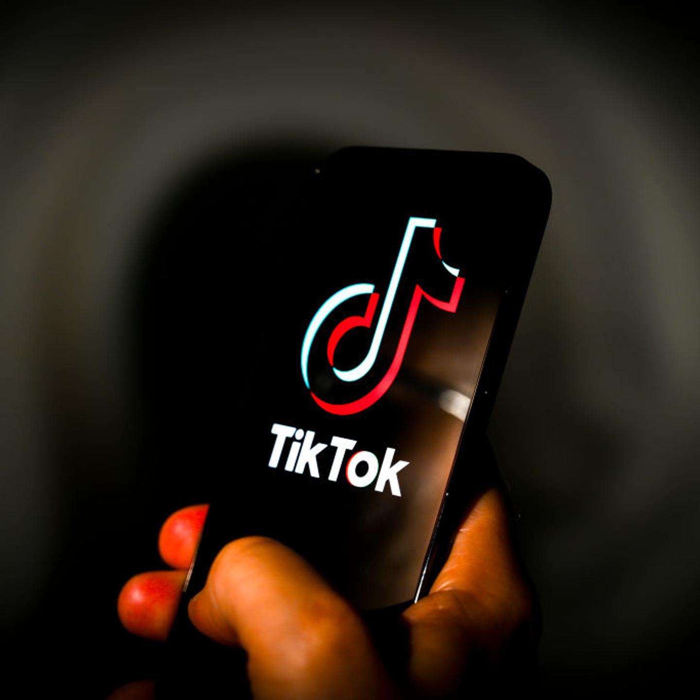 The TikTok logo is seen on a mobile device screen