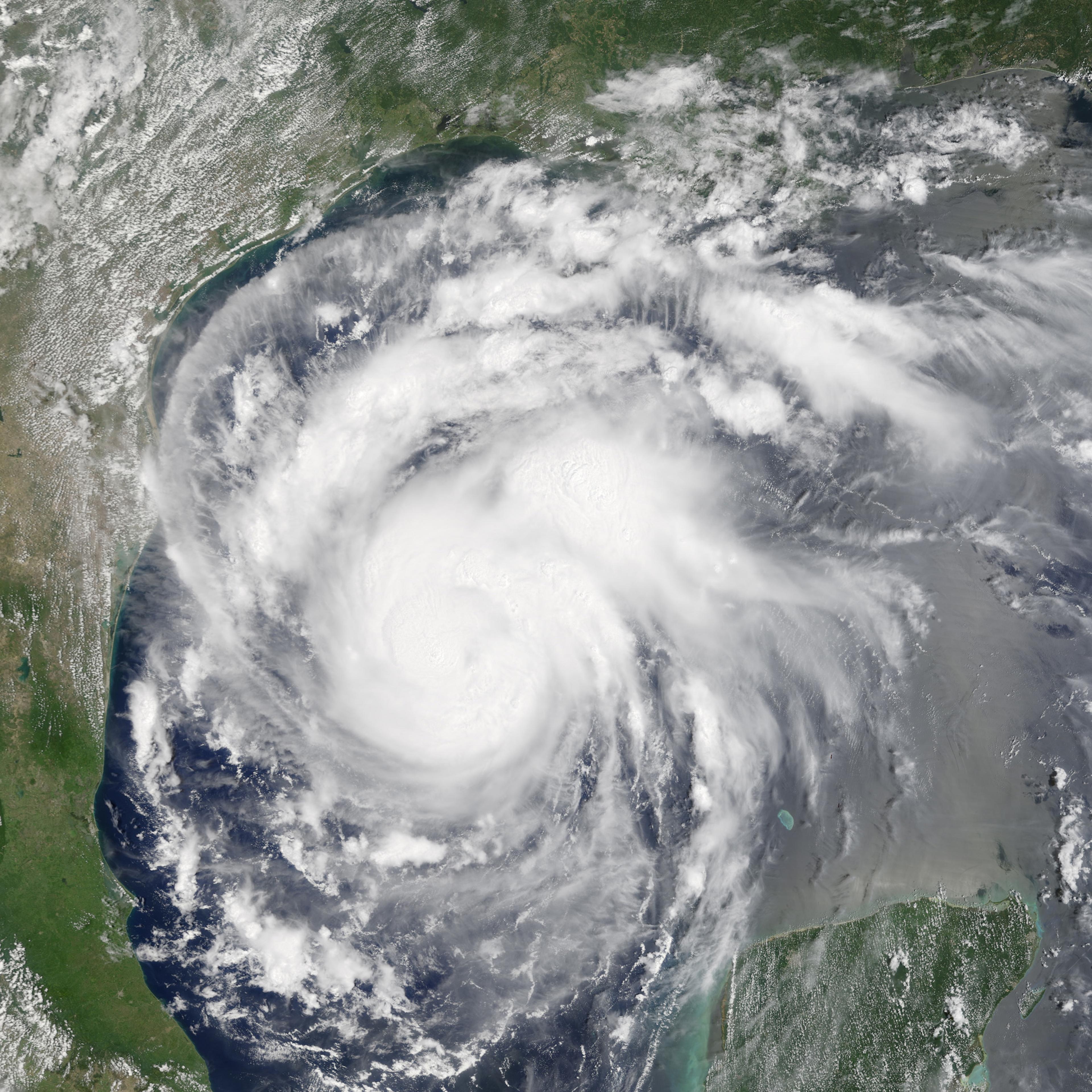 Harvey