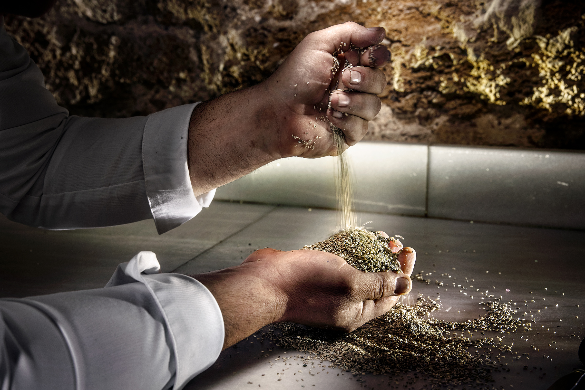 A Chef's Ambitious Quest to Harvest Rice From the Sea