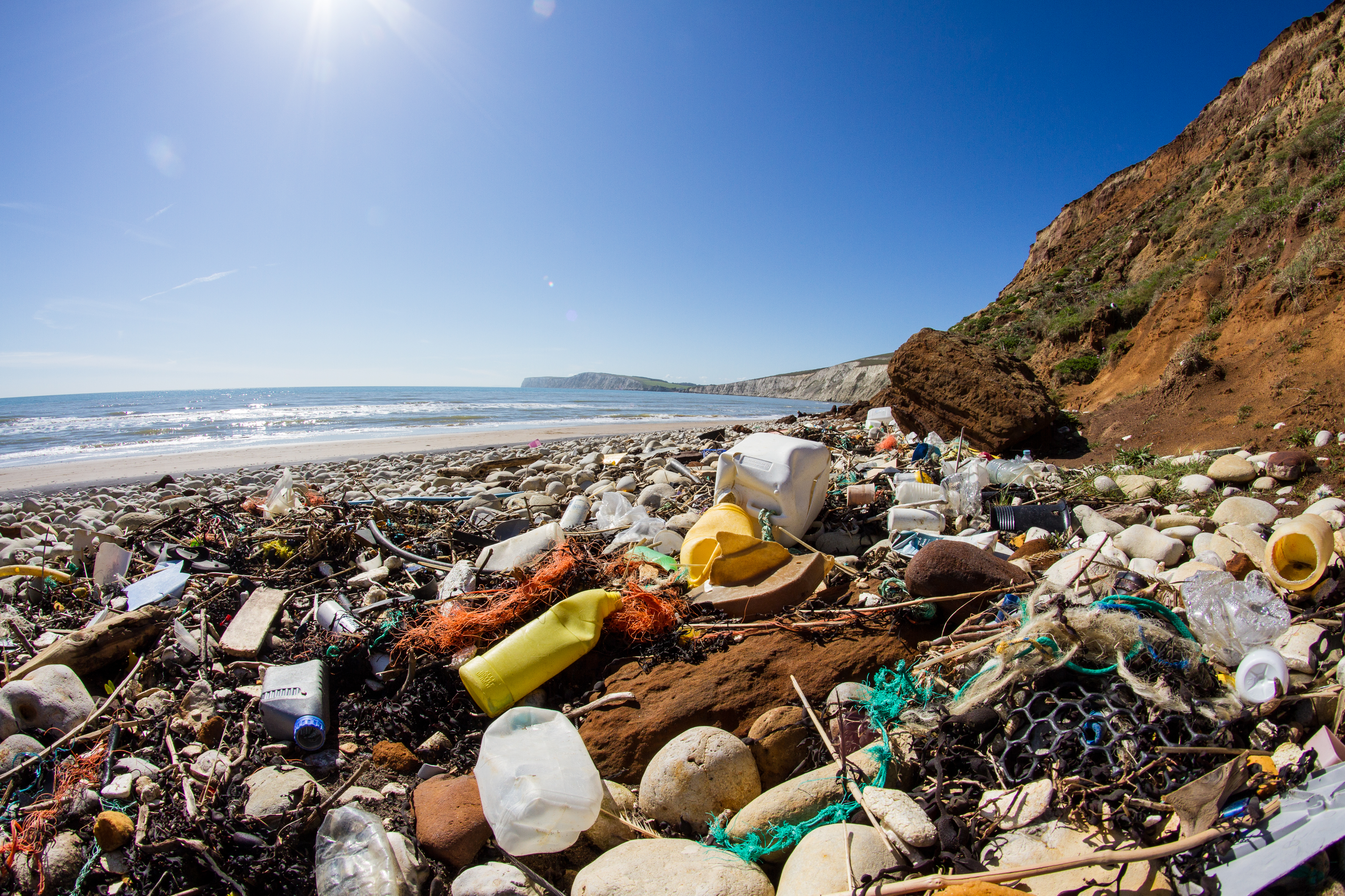 coast pollution