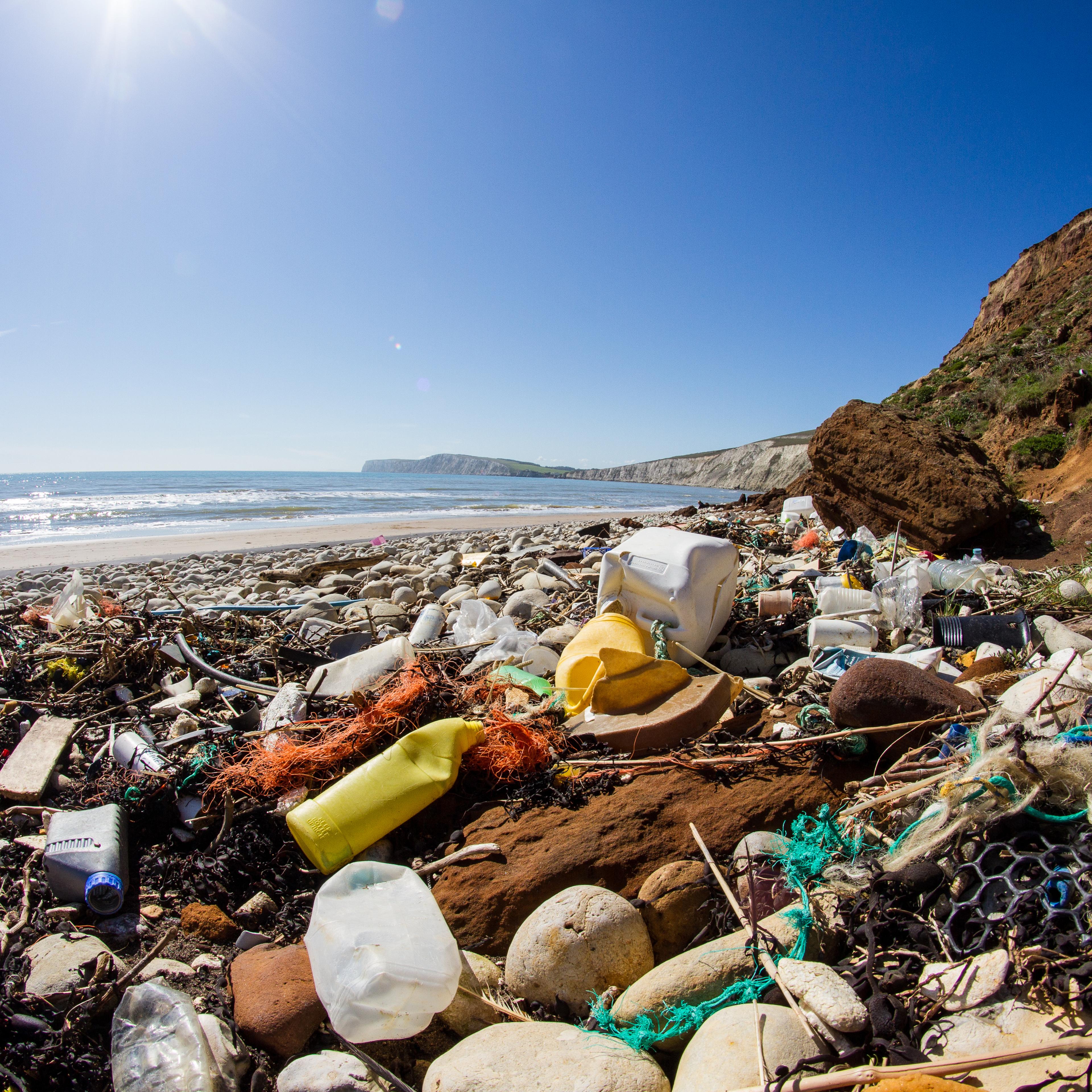 coast pollution