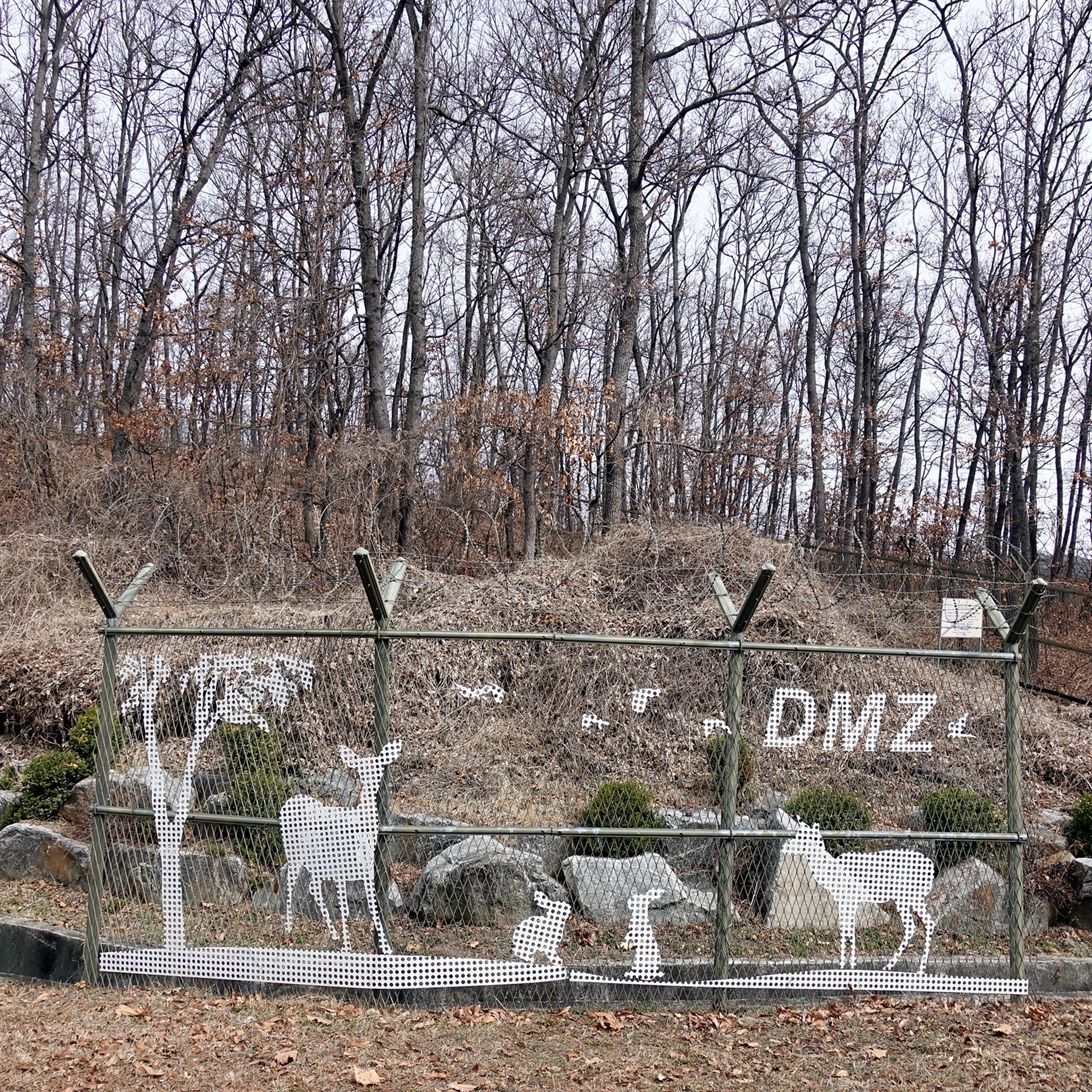 A decorated fence next to a suspected minefield inside the DMZ