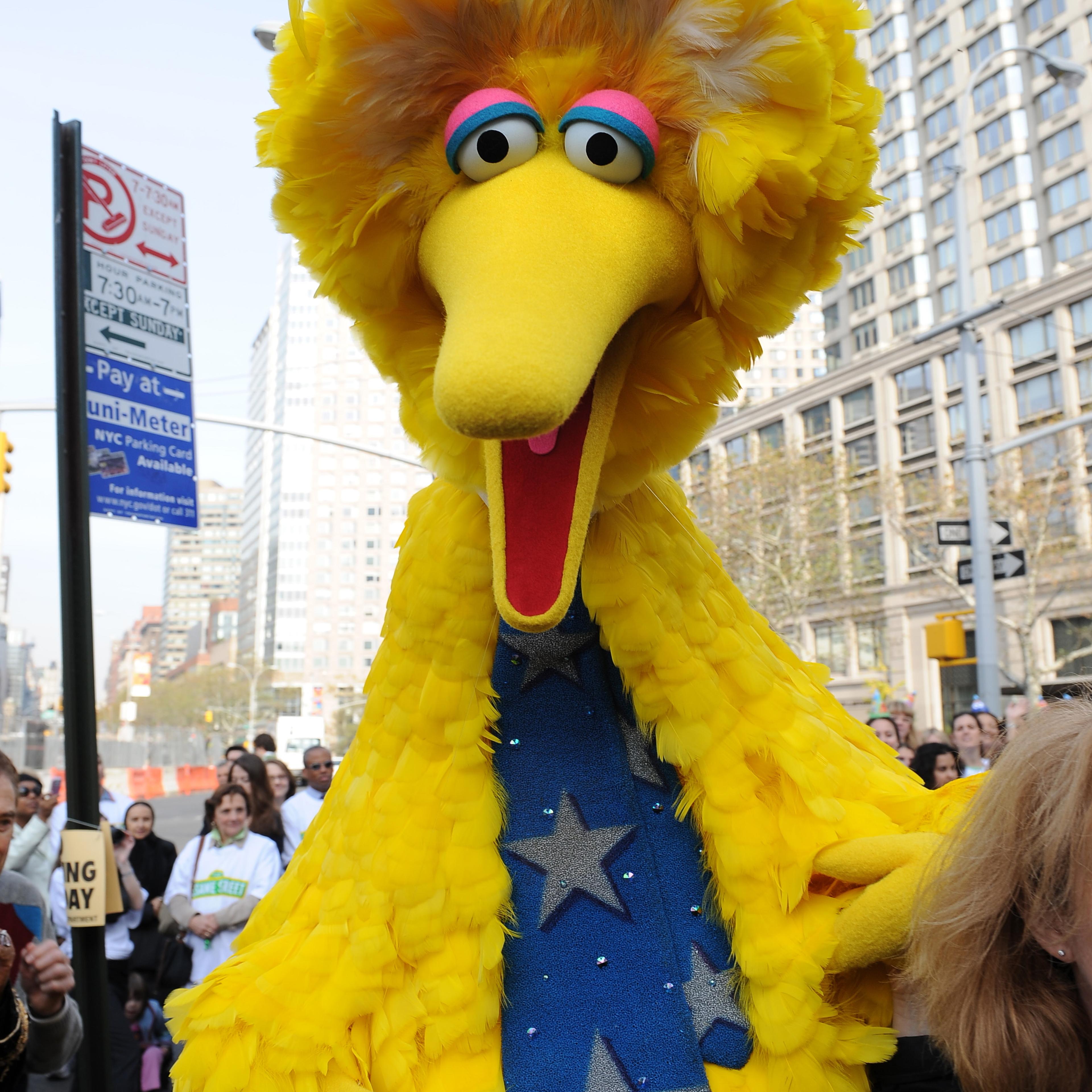 Sesame Street's Big Bird character in New York on Nov. 9, 2009.