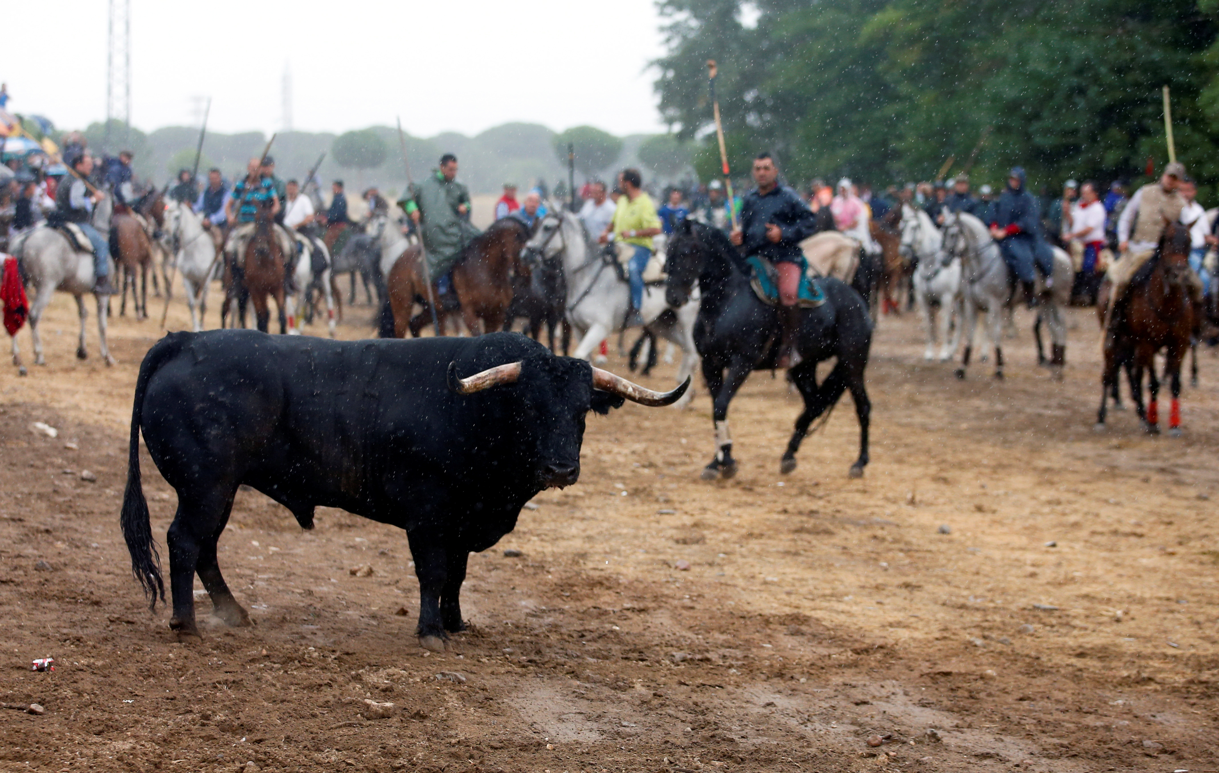 Clashes as Spanish Town Bans Bull-Lancing at Annual Festival