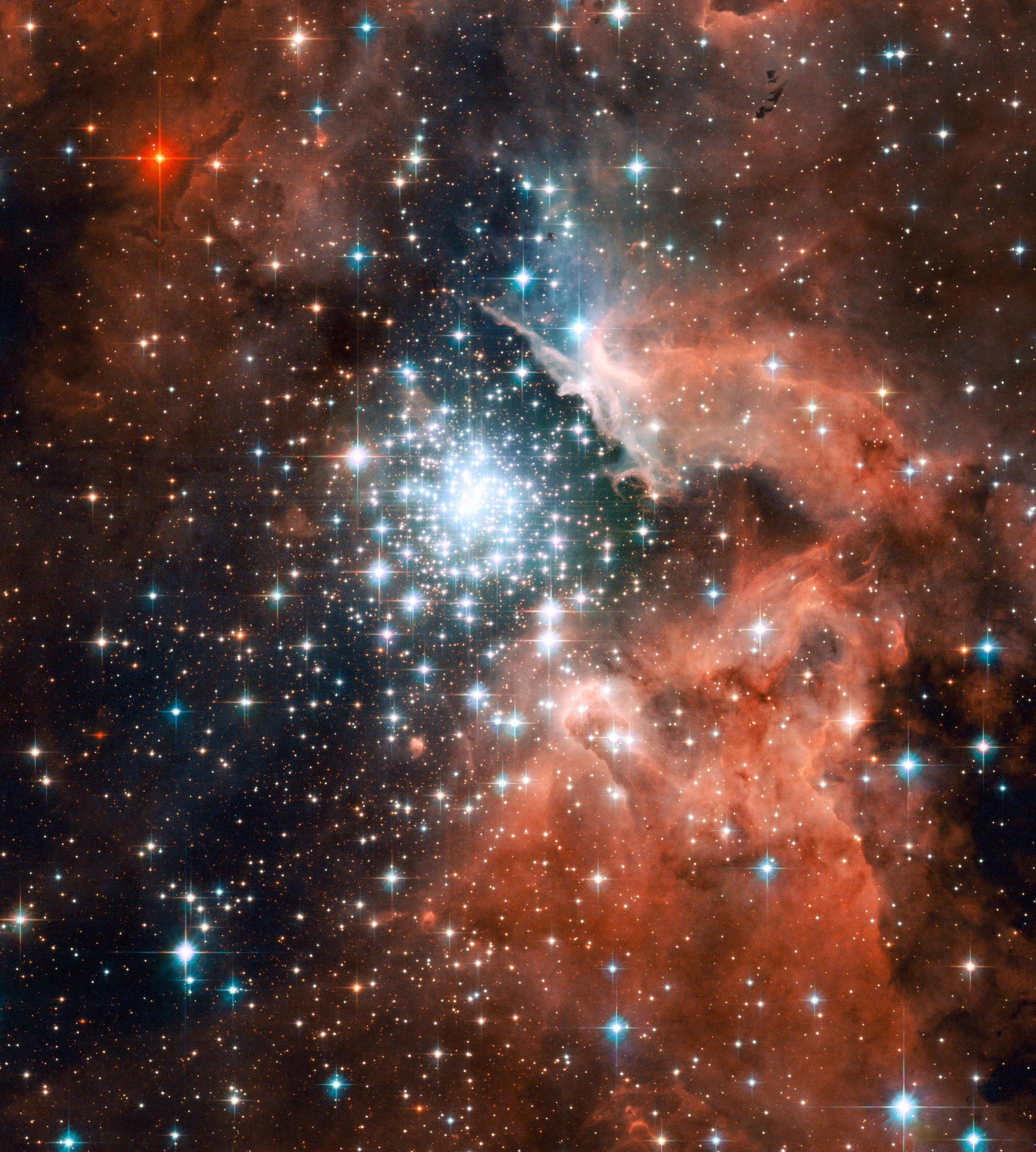 New research suggests cosmic biology is not just possible: it's inevitable
