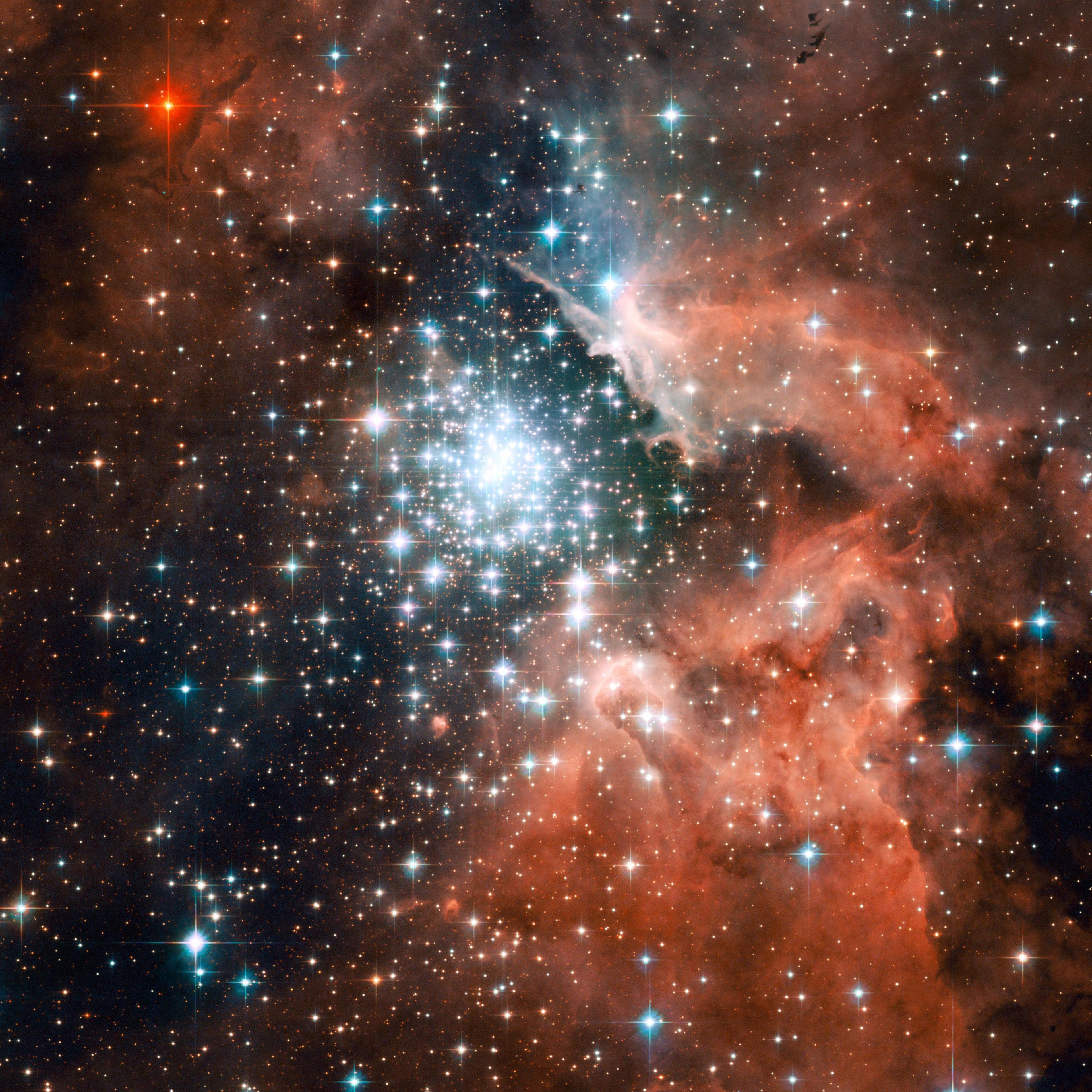 New research suggests cosmic biology is not just possible: it's inevitable