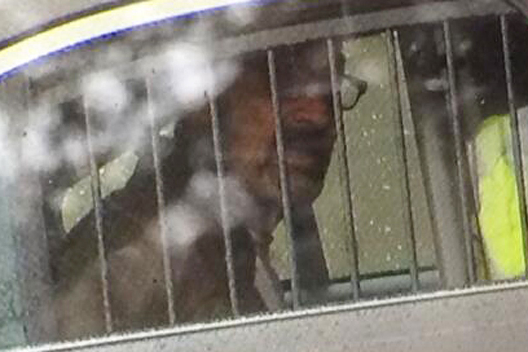 This photo provided by 41ActionNews, shows Frazier Glenn Cross, who is accused of killing three people outside of Jewish sites near Kansas City, April 13, 2014