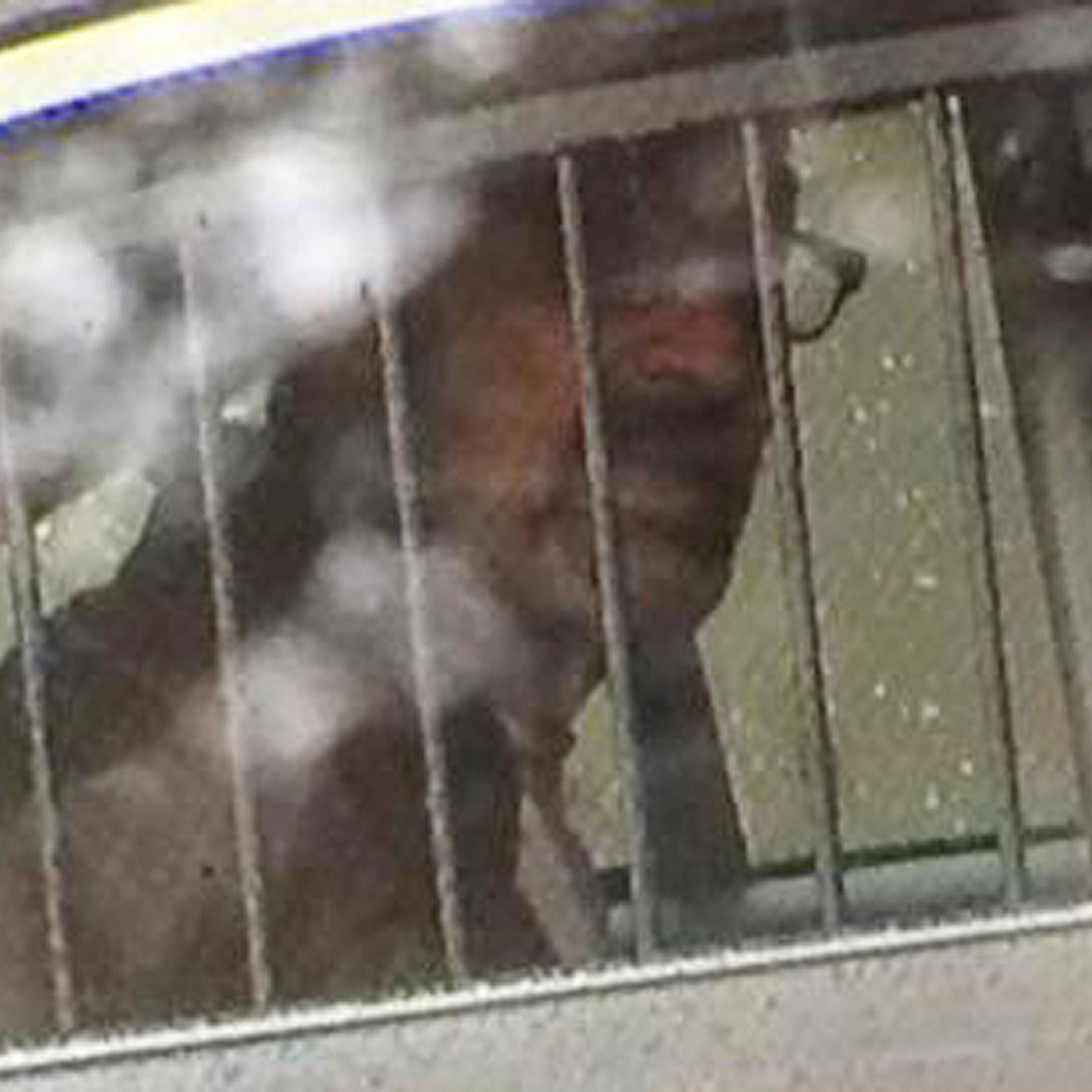 This photo provided by 41ActionNews, shows Frazier Glenn Cross, who is accused of killing three people outside of Jewish sites near Kansas City, April 13, 2014