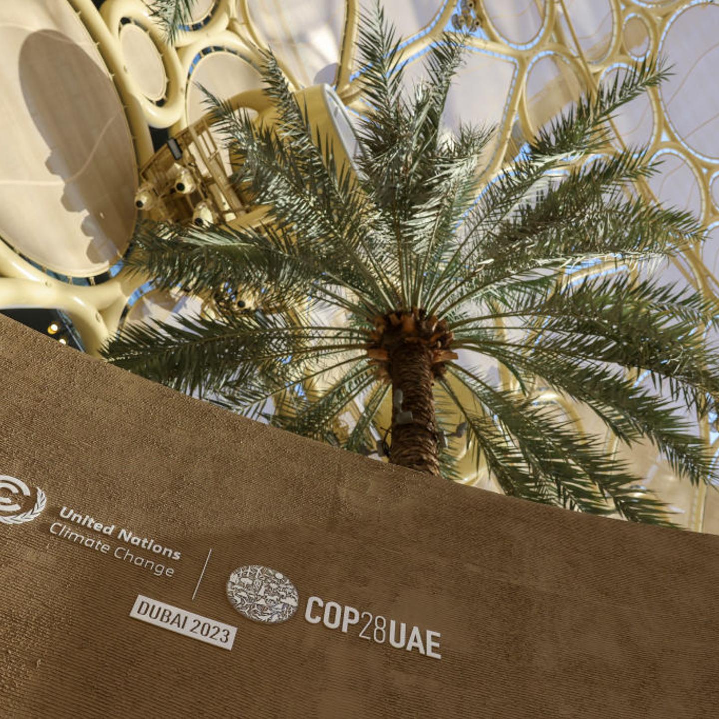 Opening Day of COP28 Climate Conference