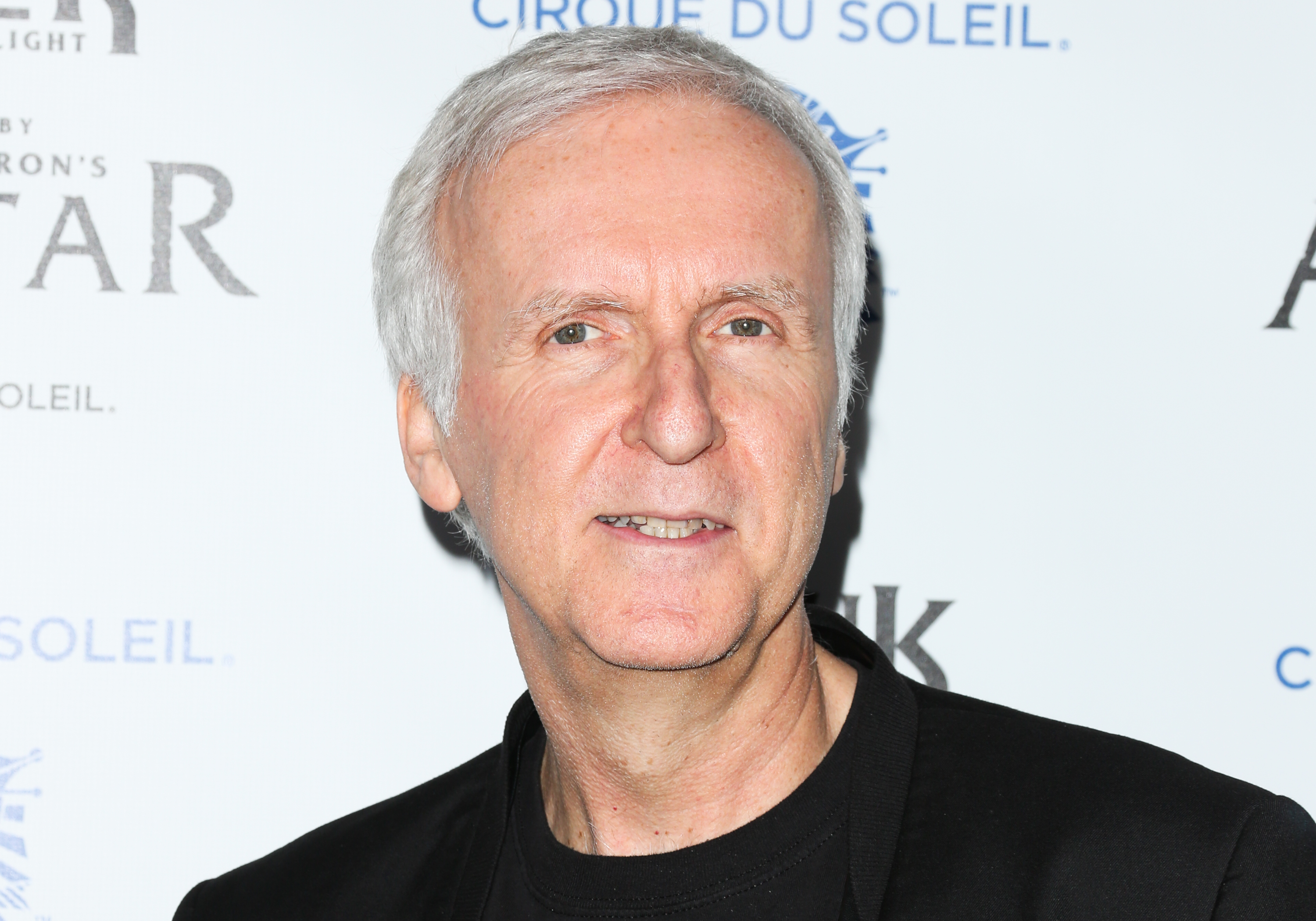 Opening Night Of Cirque du Soleil's "Toruk - The First Flight" - Arrivals