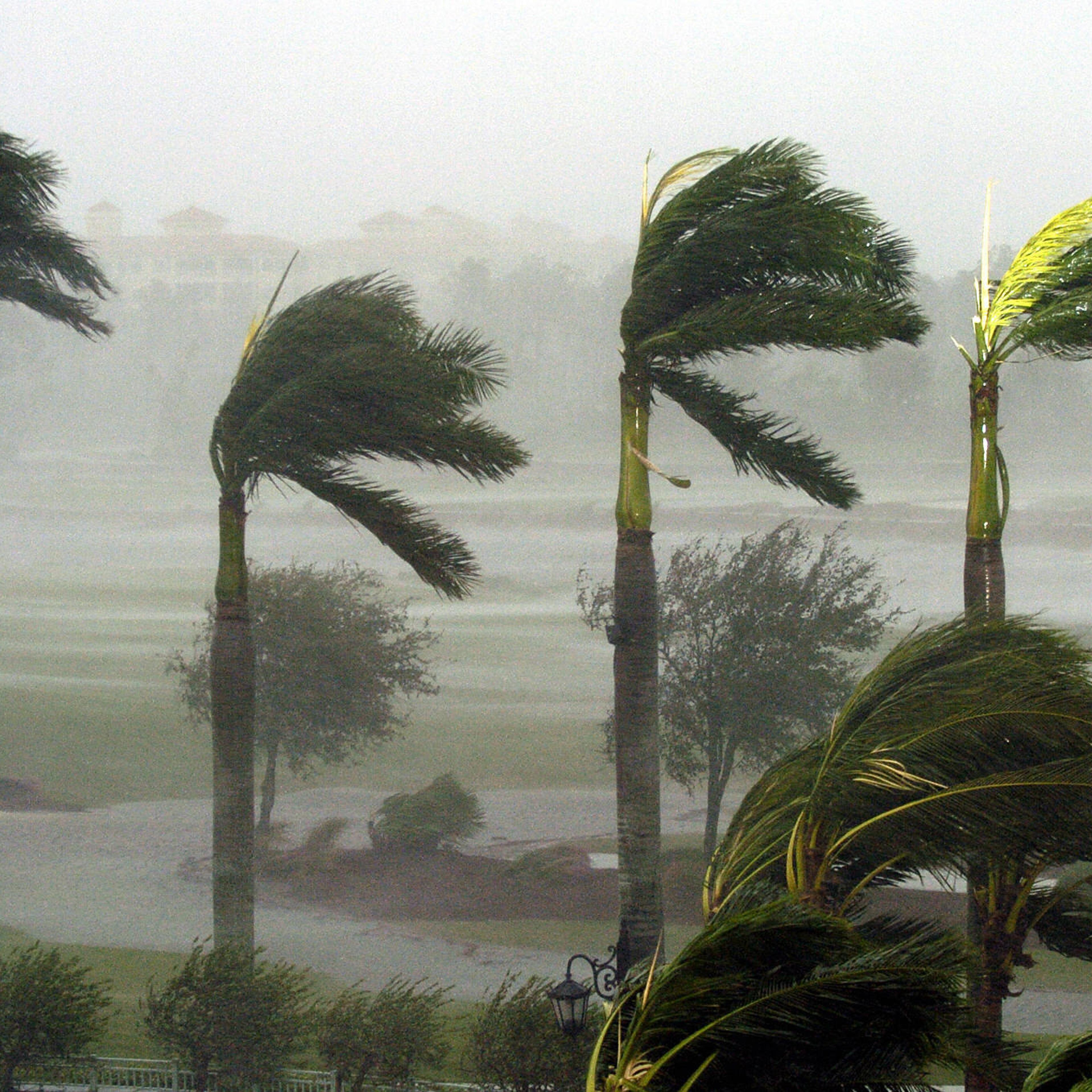 hurricane season 2016