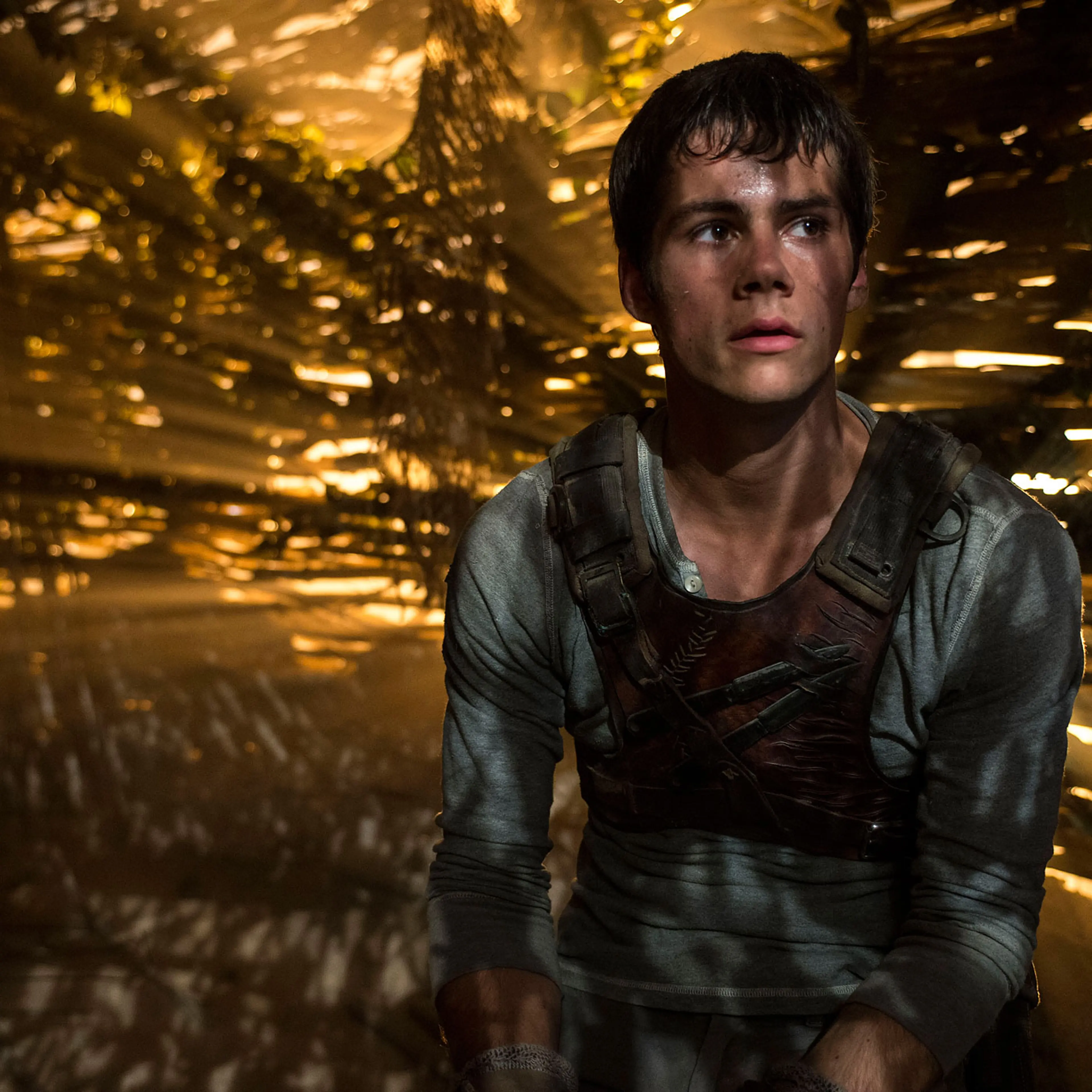 THE MAZE RUNNER