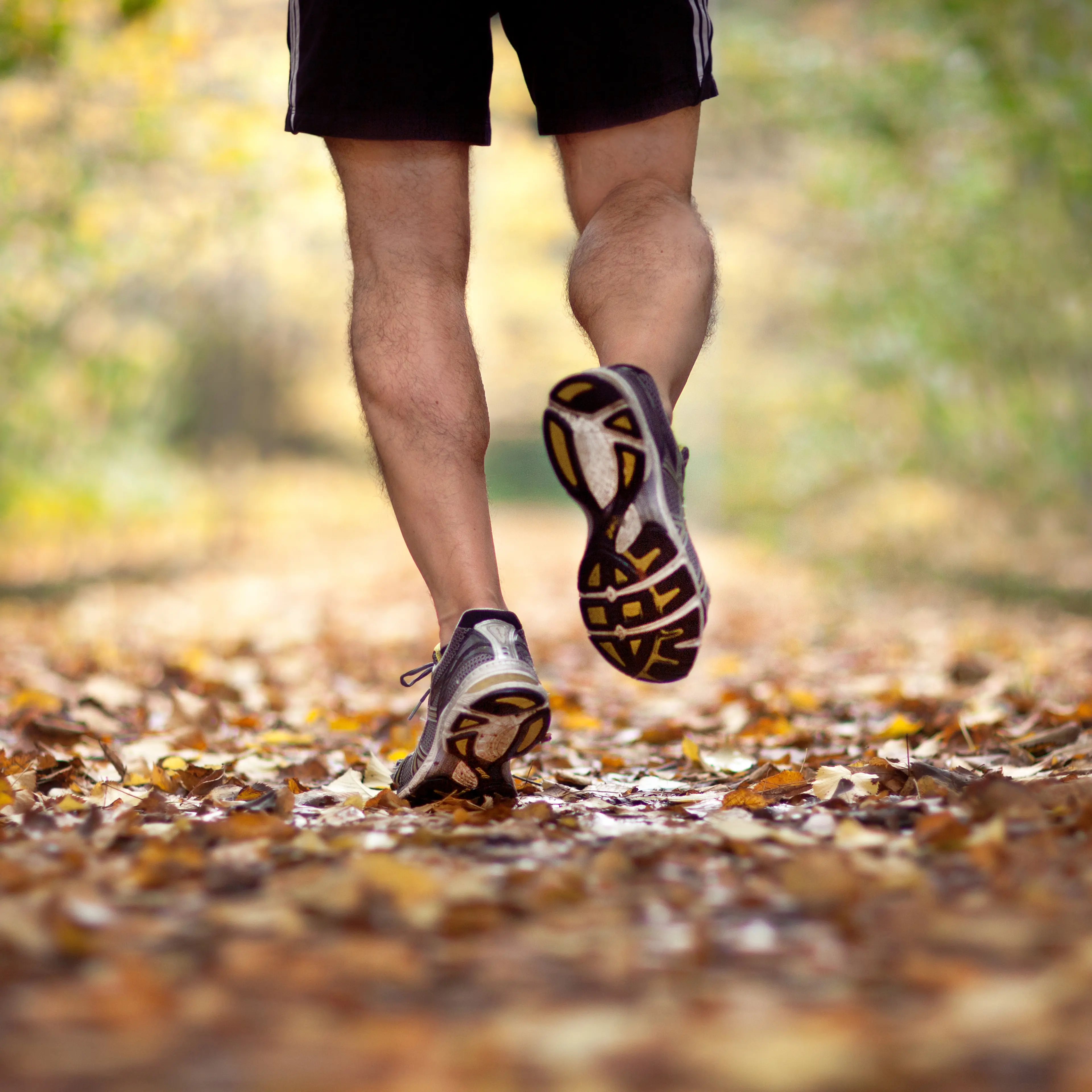 The runner