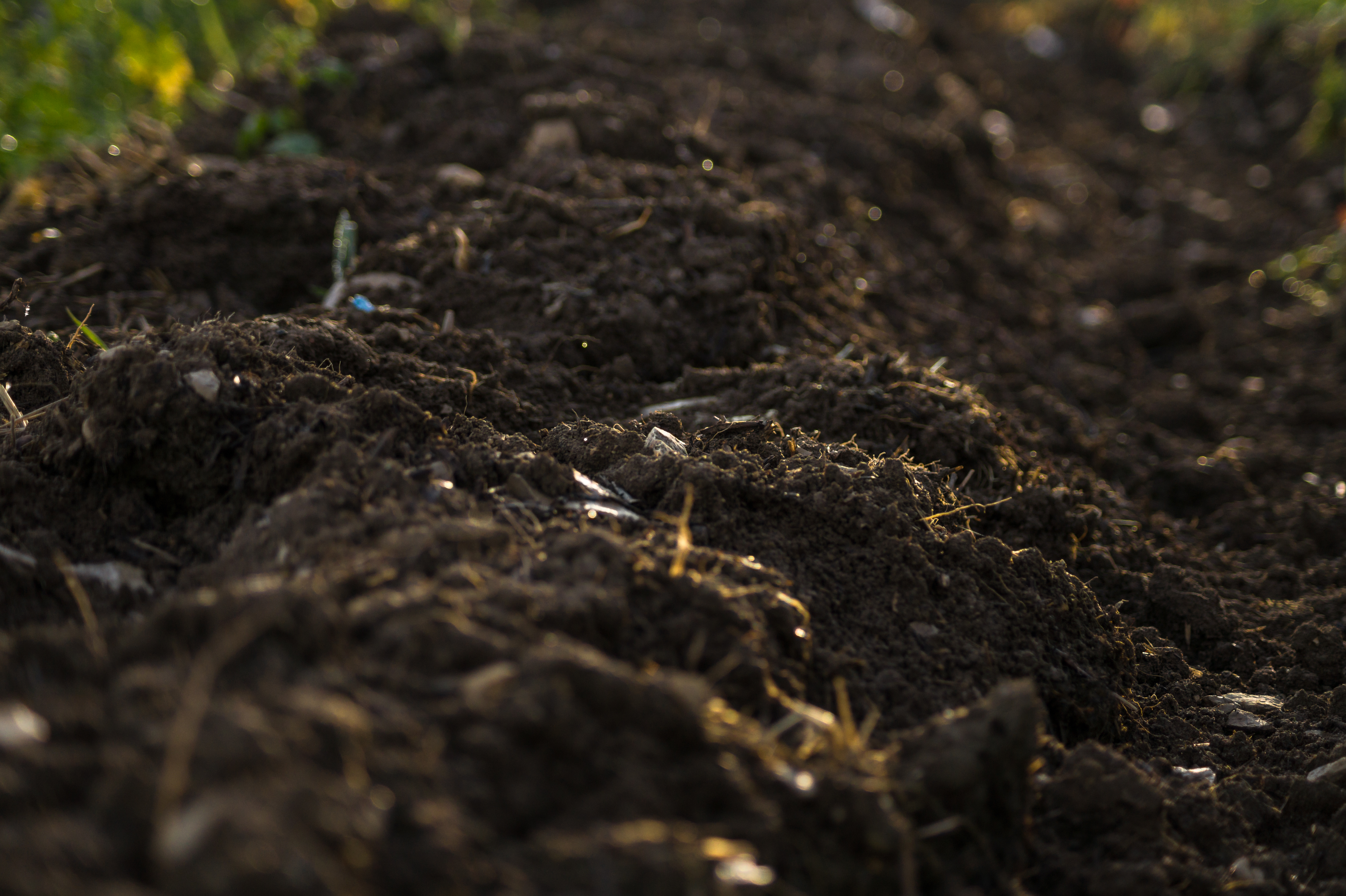 soil climate change carbon sink