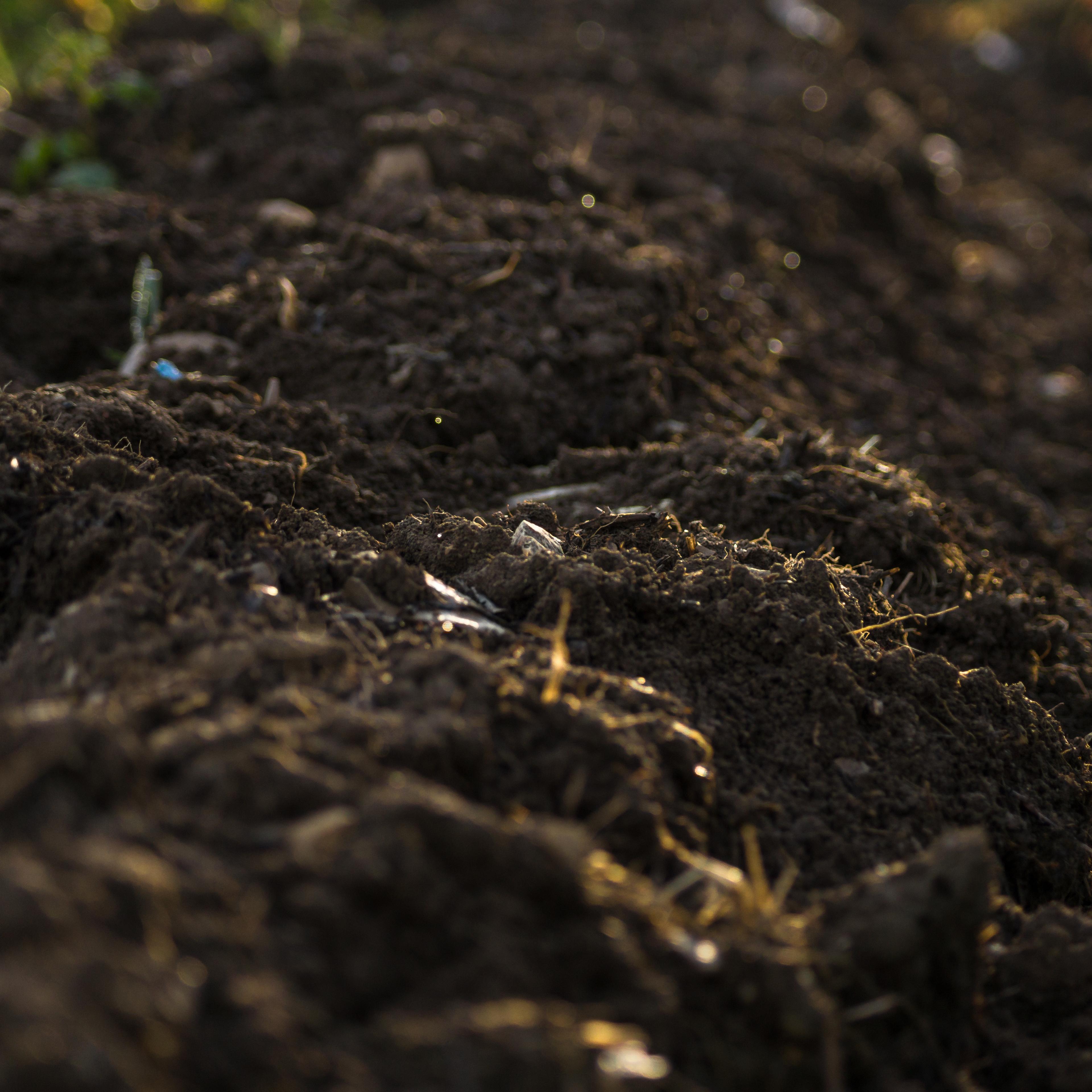 soil climate change carbon sink