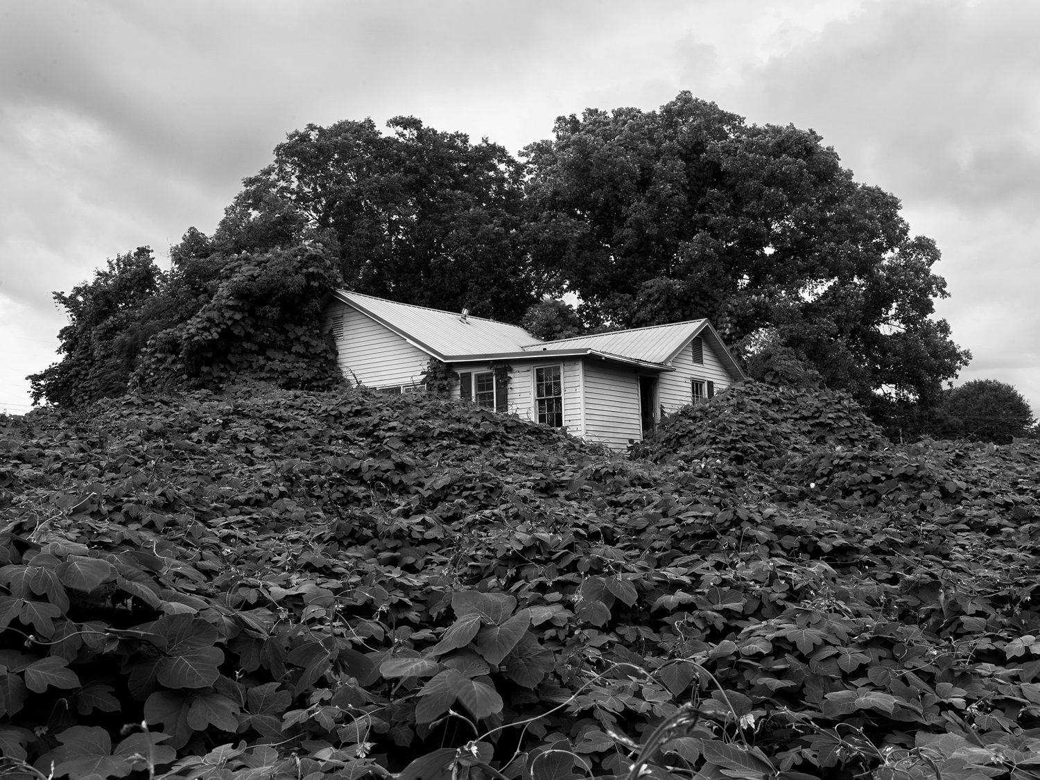 An abandoned house near Gainesville.