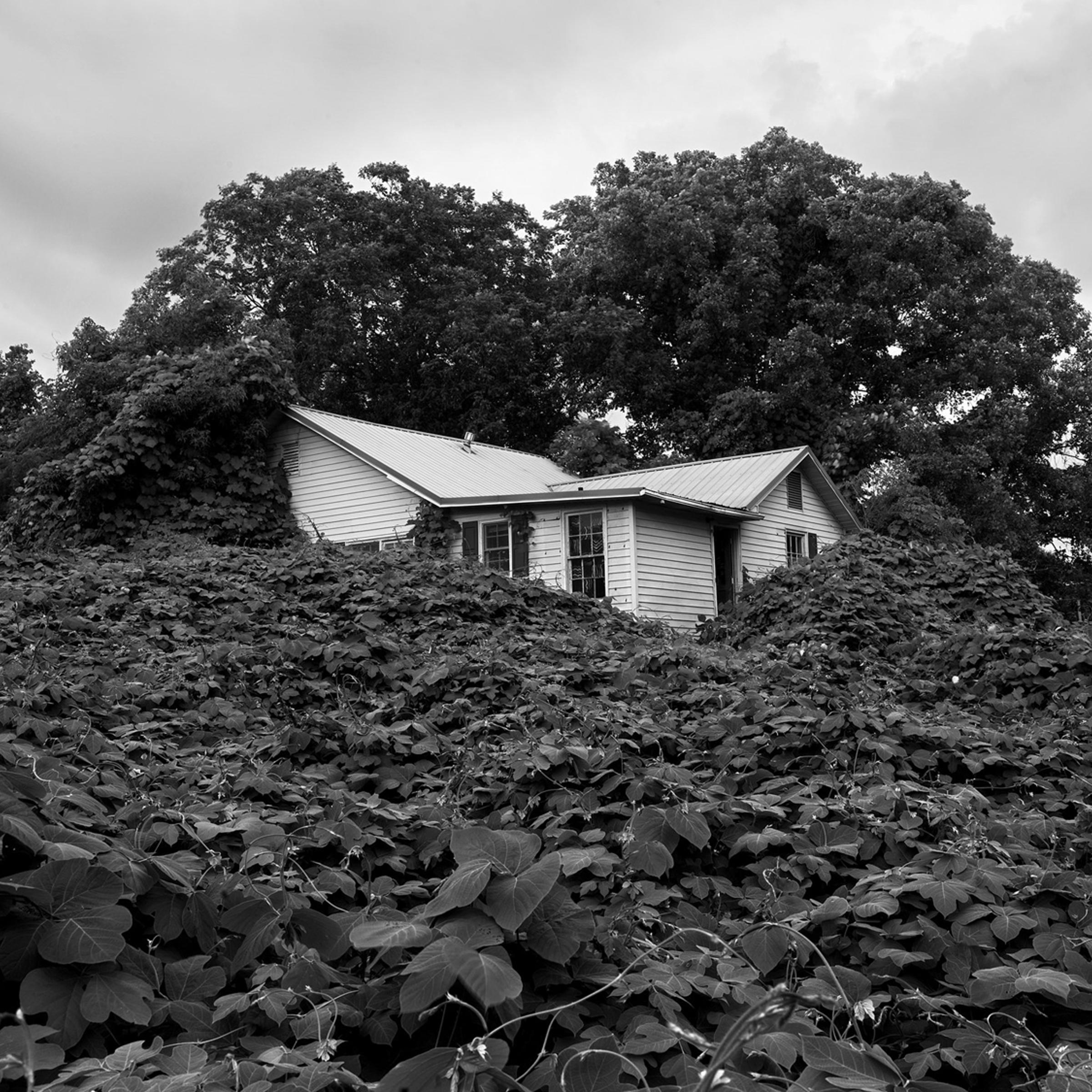 An abandoned house near Gainesville.
