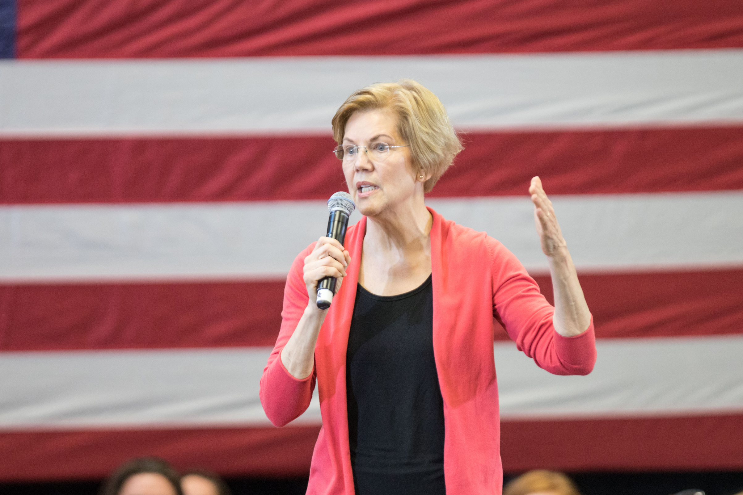 Elizabeth Warren Wealth Tax Reform