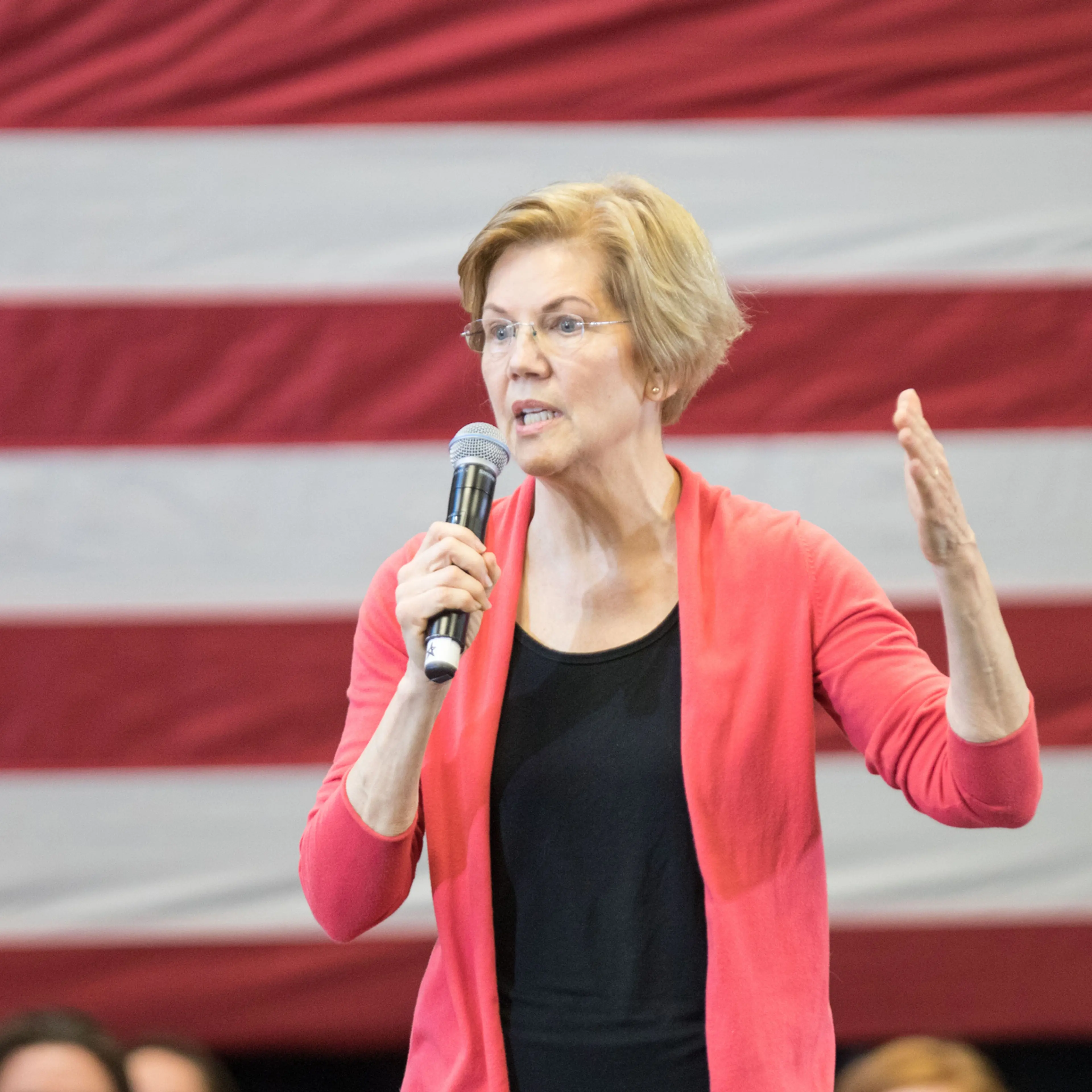 Elizabeth Warren Wealth Tax Reform