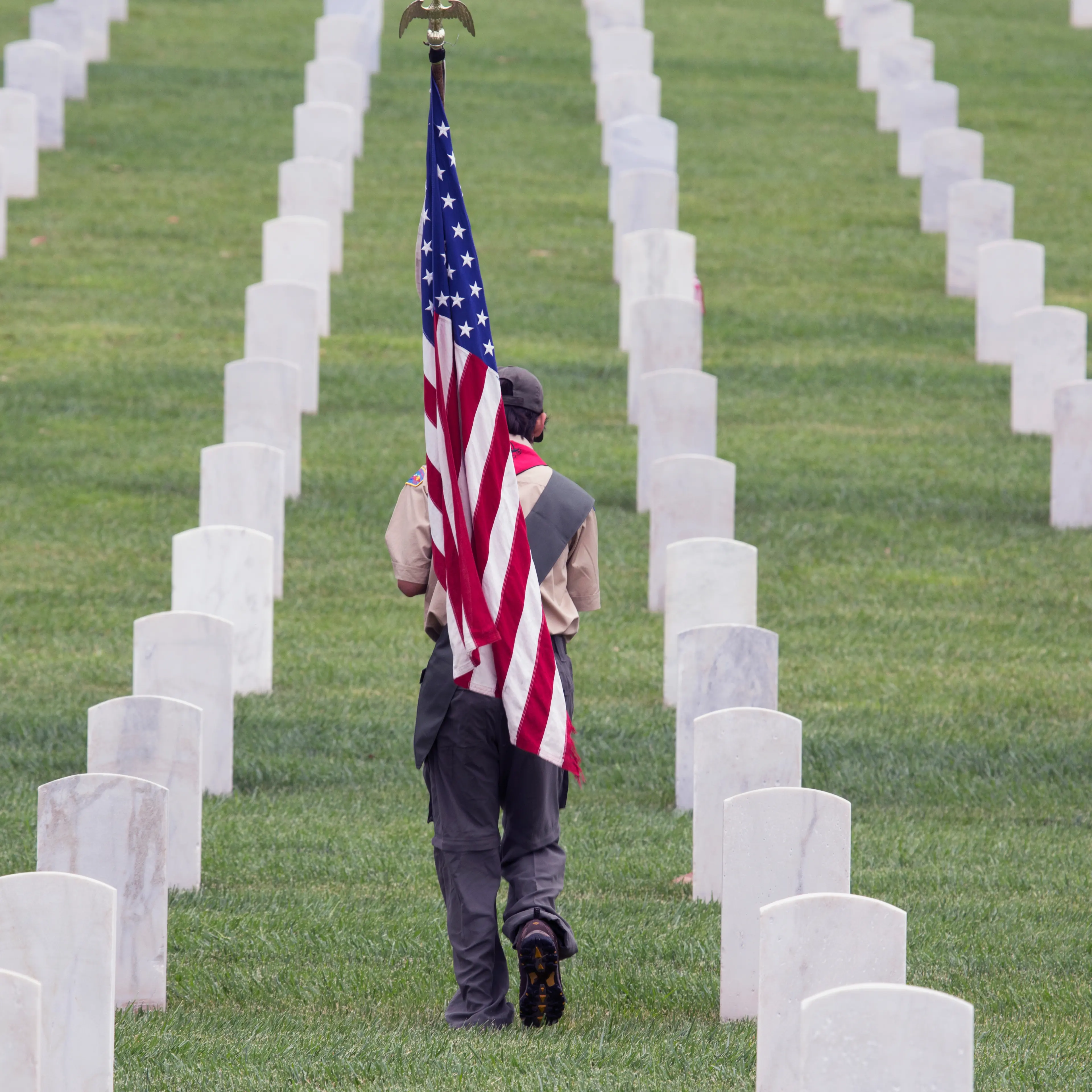 Boy scout places US Flags at 2014 Memorial Day Event, Los Angeles National Cemetery, California