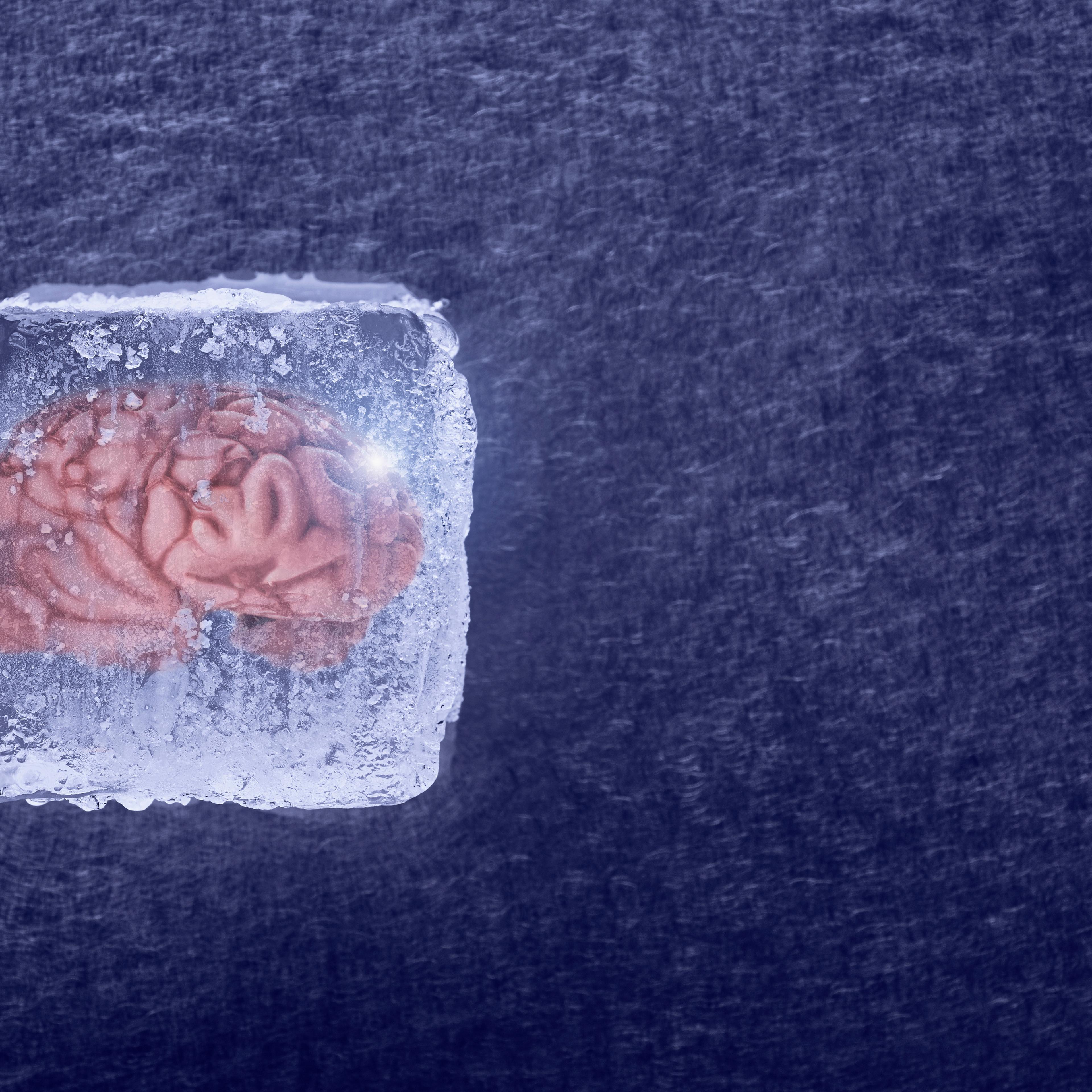 Brain frozen in ice cube