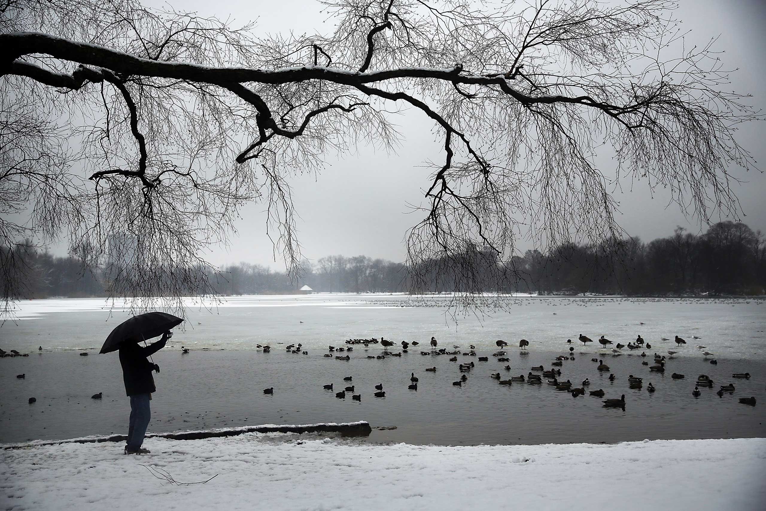 Nor'easter Storm Brings Light Snow To New York