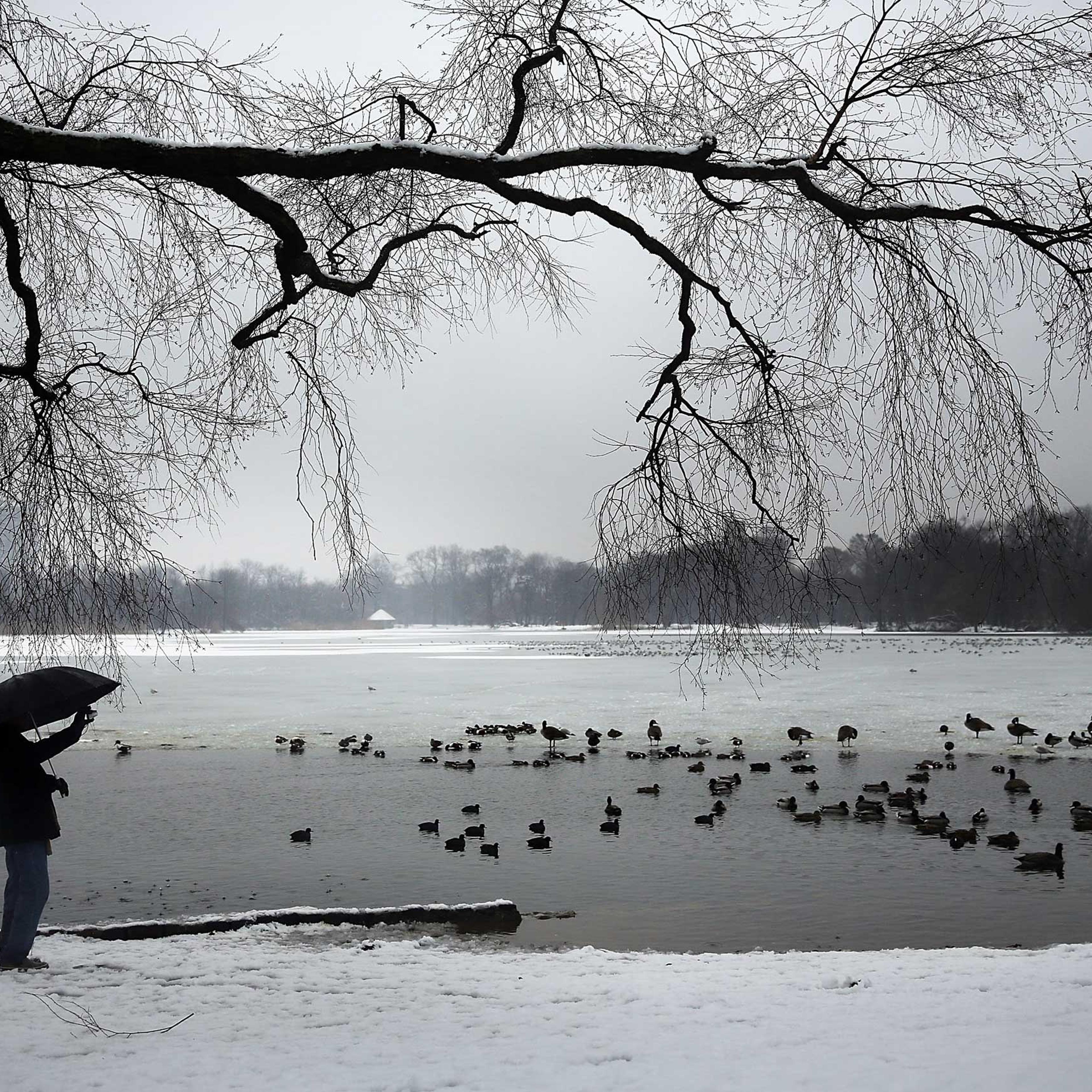 Nor'easter Storm Brings Light Snow To New York
