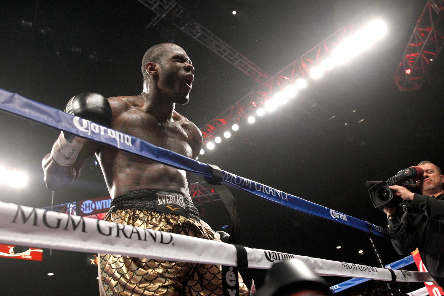 Bermane Stiverne v Deontay Wilder